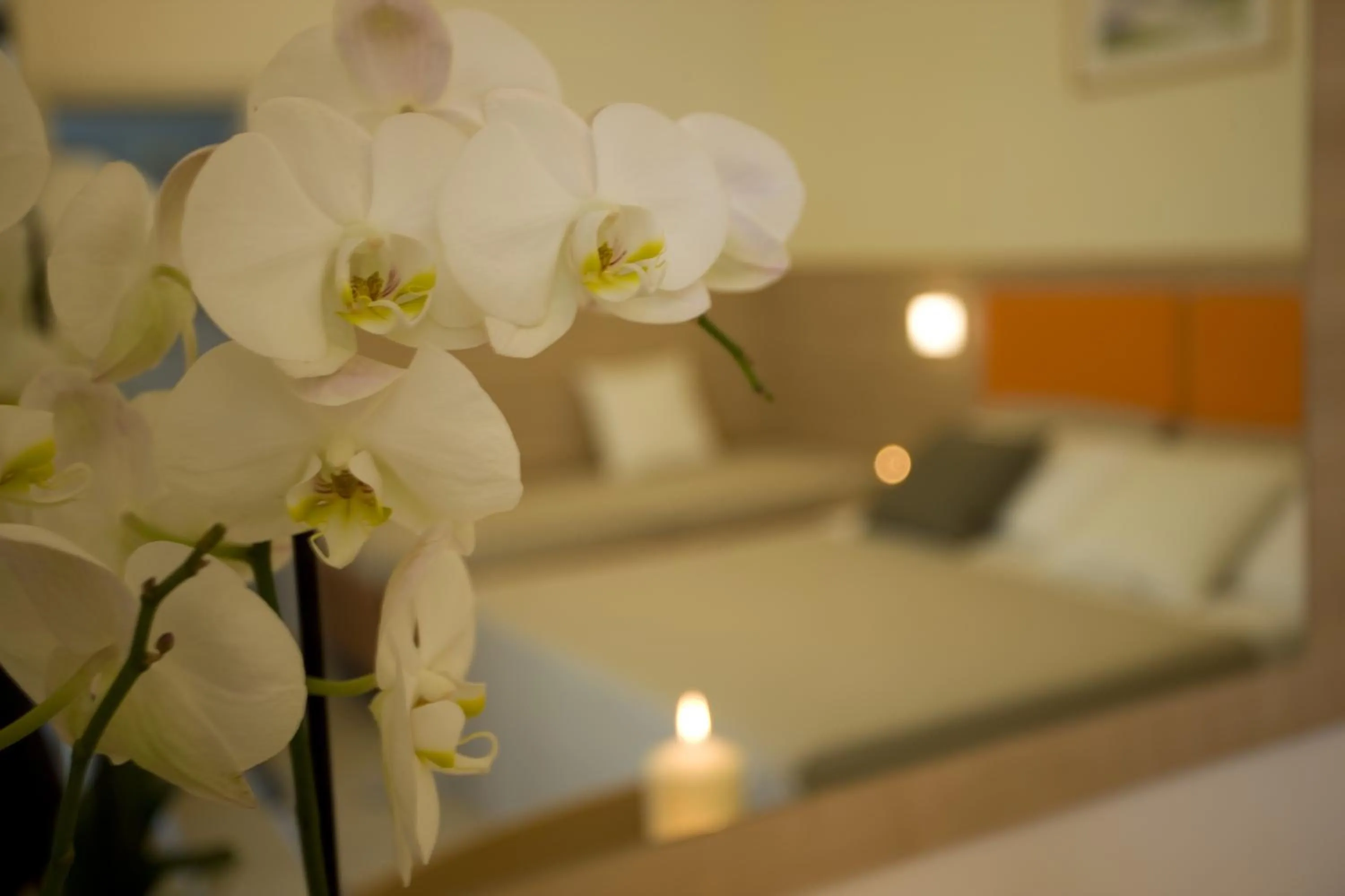 Decorative detail, Bed in Hotel Consuelo
