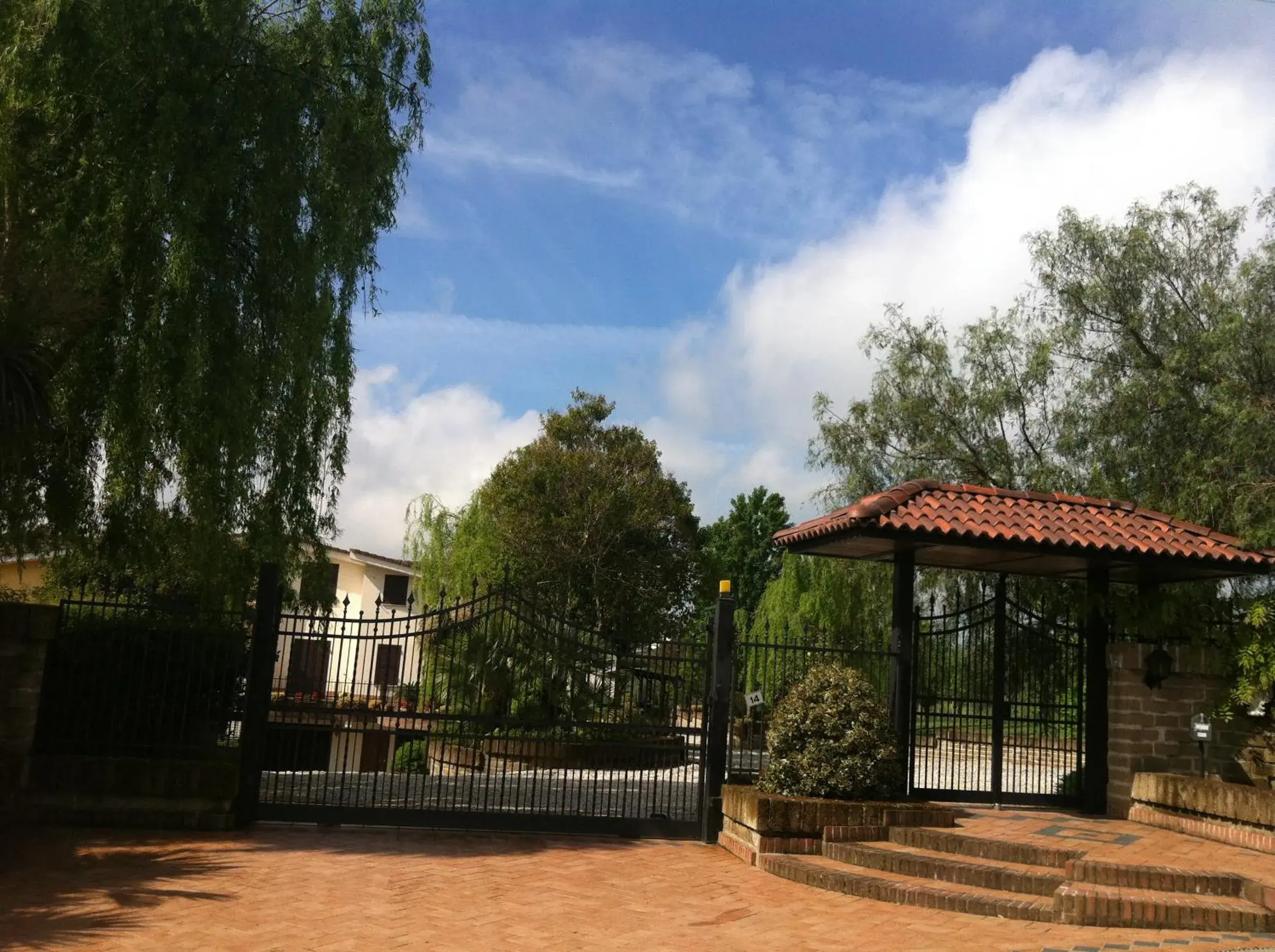 L'albero Del Pepe L'albero Del Pepe
