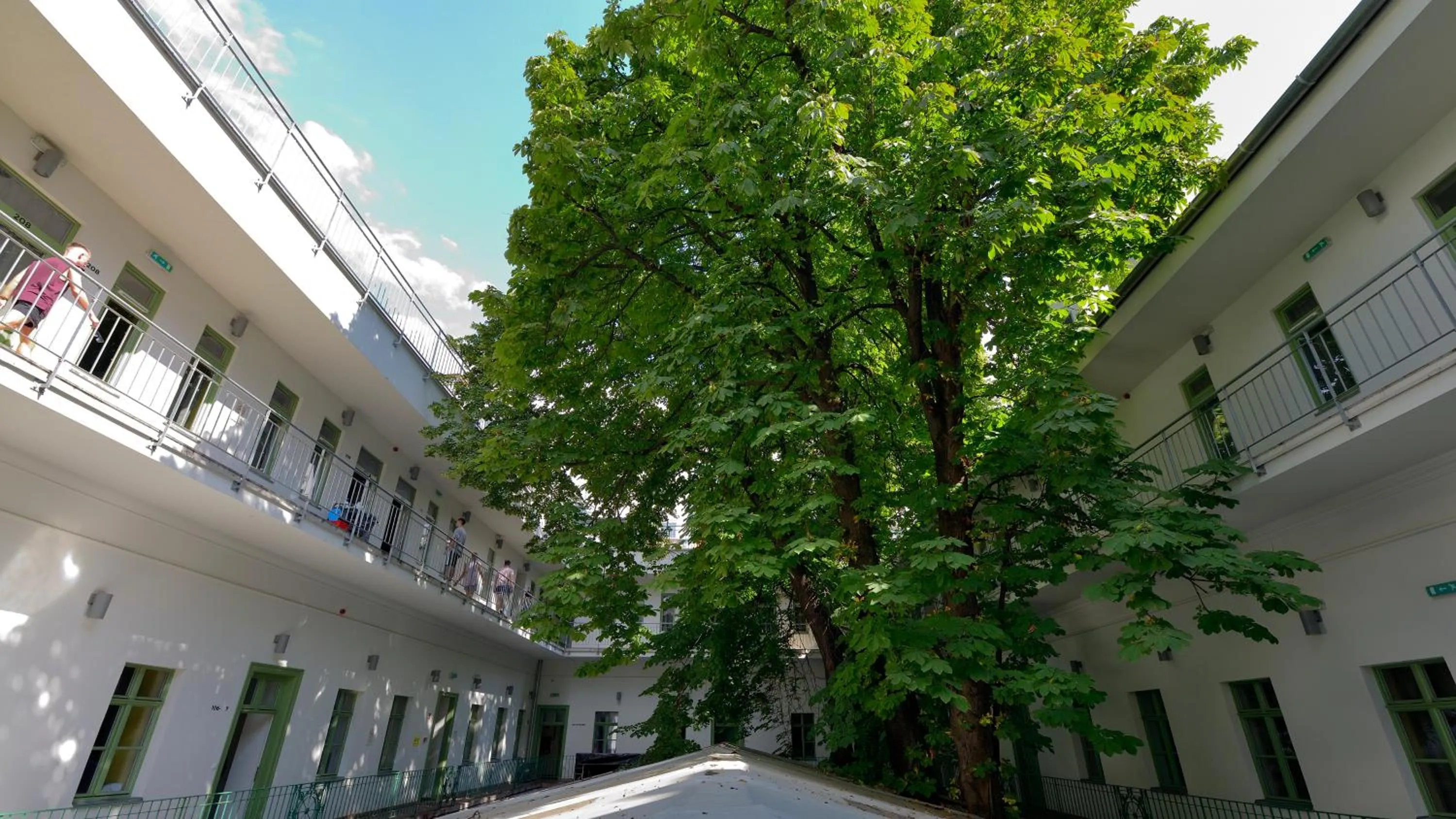 Property building in The Hive Party Hostel Budapest