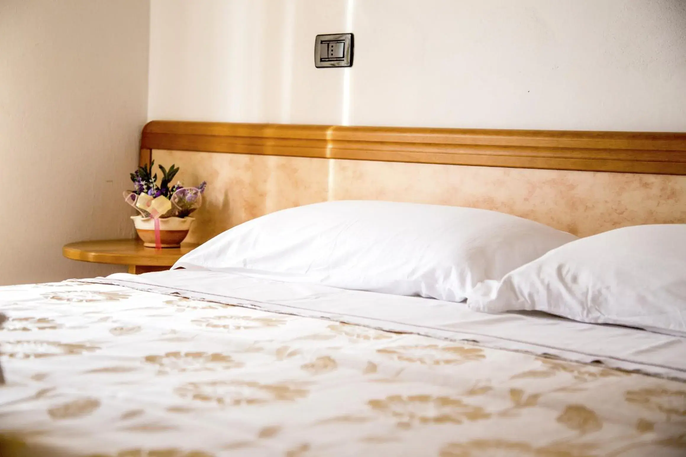 Shower, Bed in Hotel Majorca