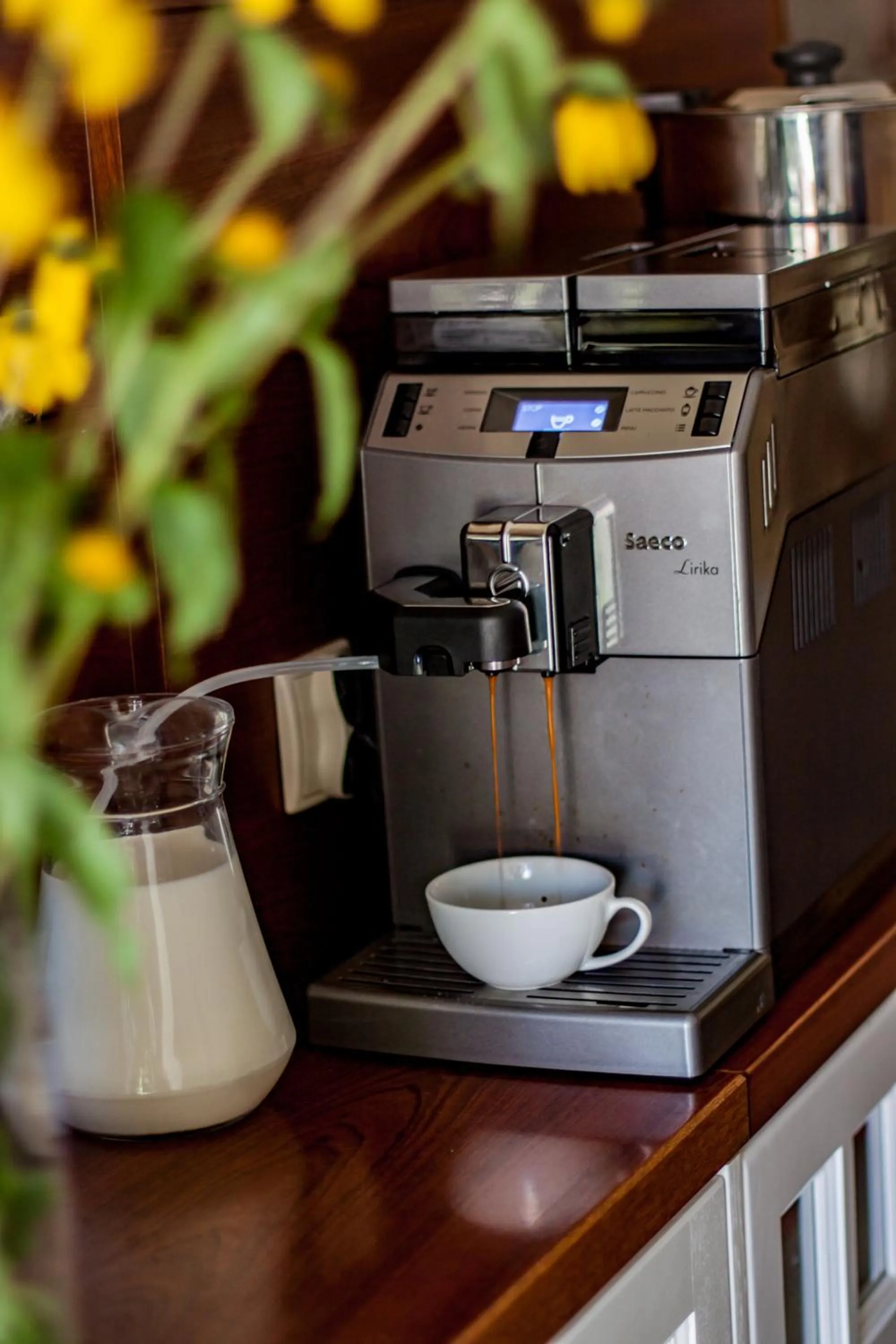 Restaurant/places to eat in Wilcznik 10