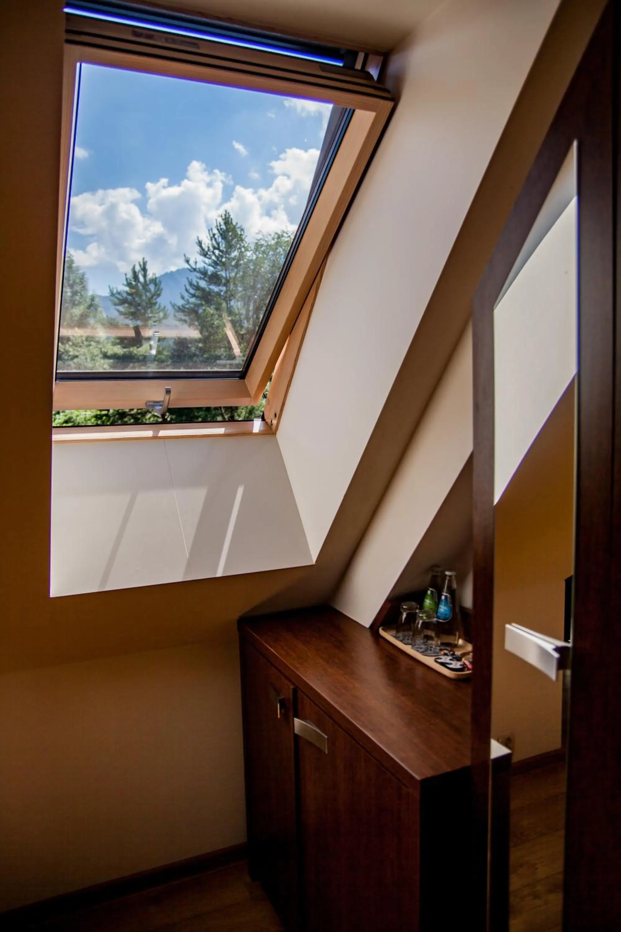 Mountain view in Wilcznik 10