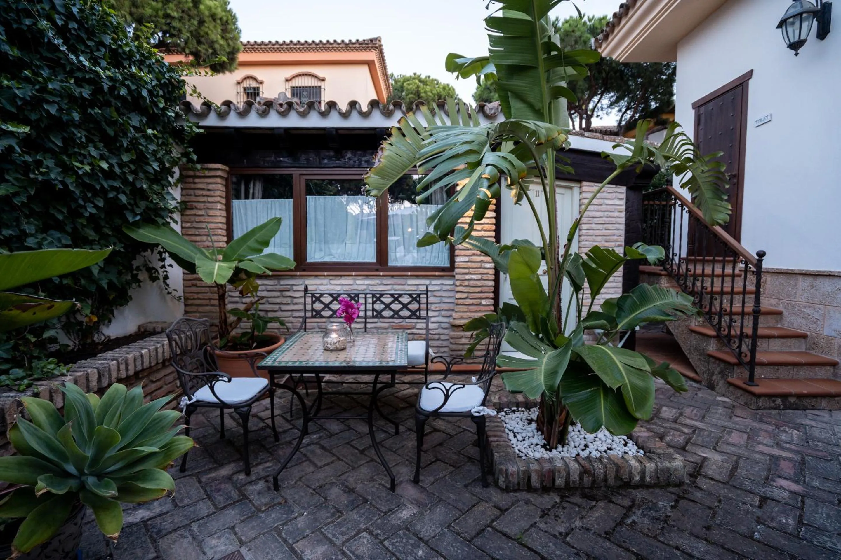Patio in Hotel Azalea Playa