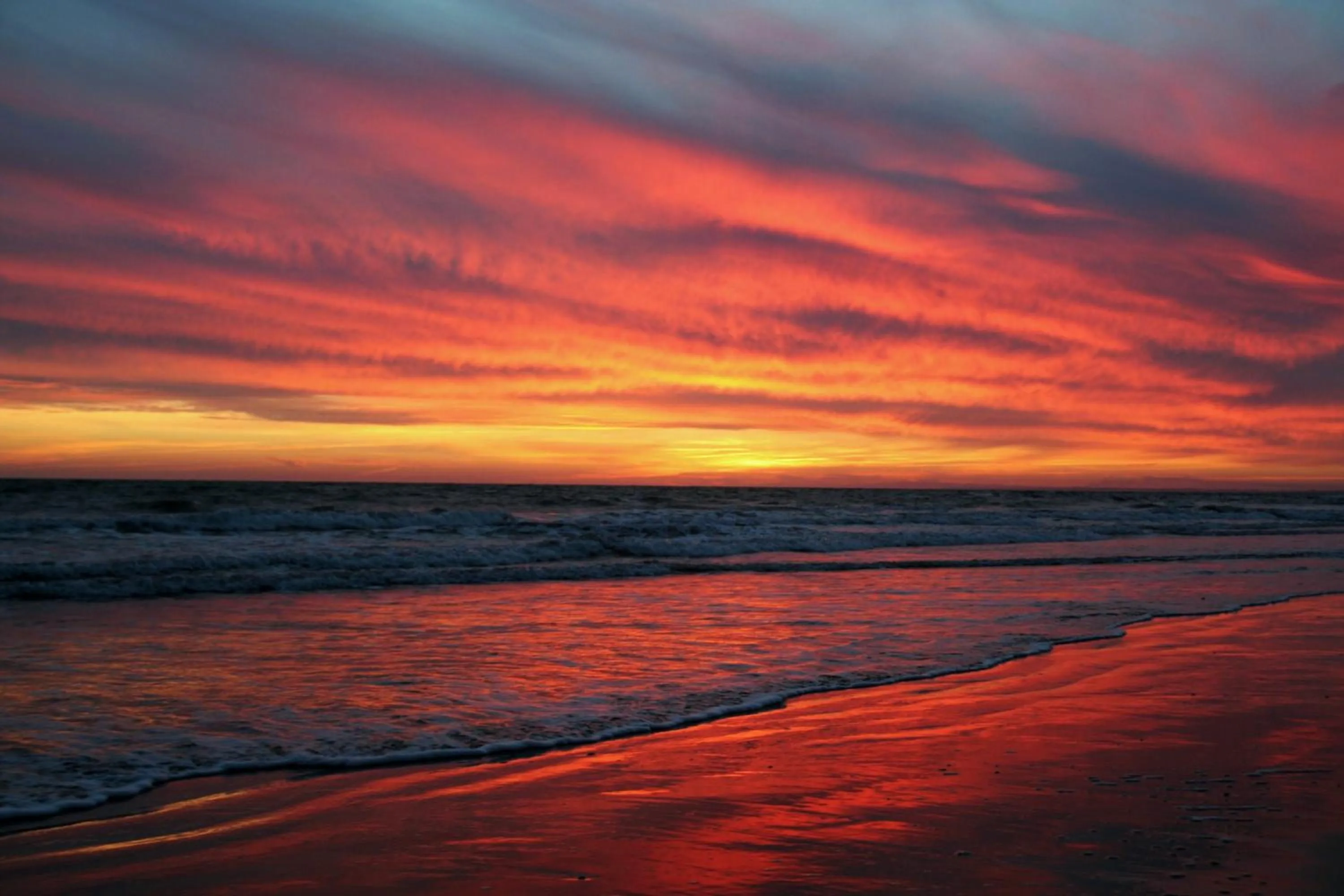 Natural landscape in Hotel Azalea Playa