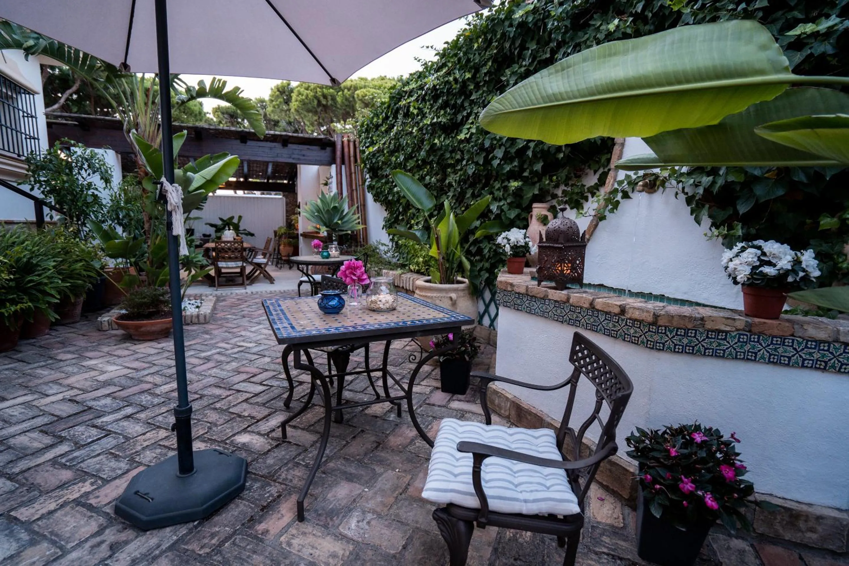 Patio in Hotel Azalea Playa