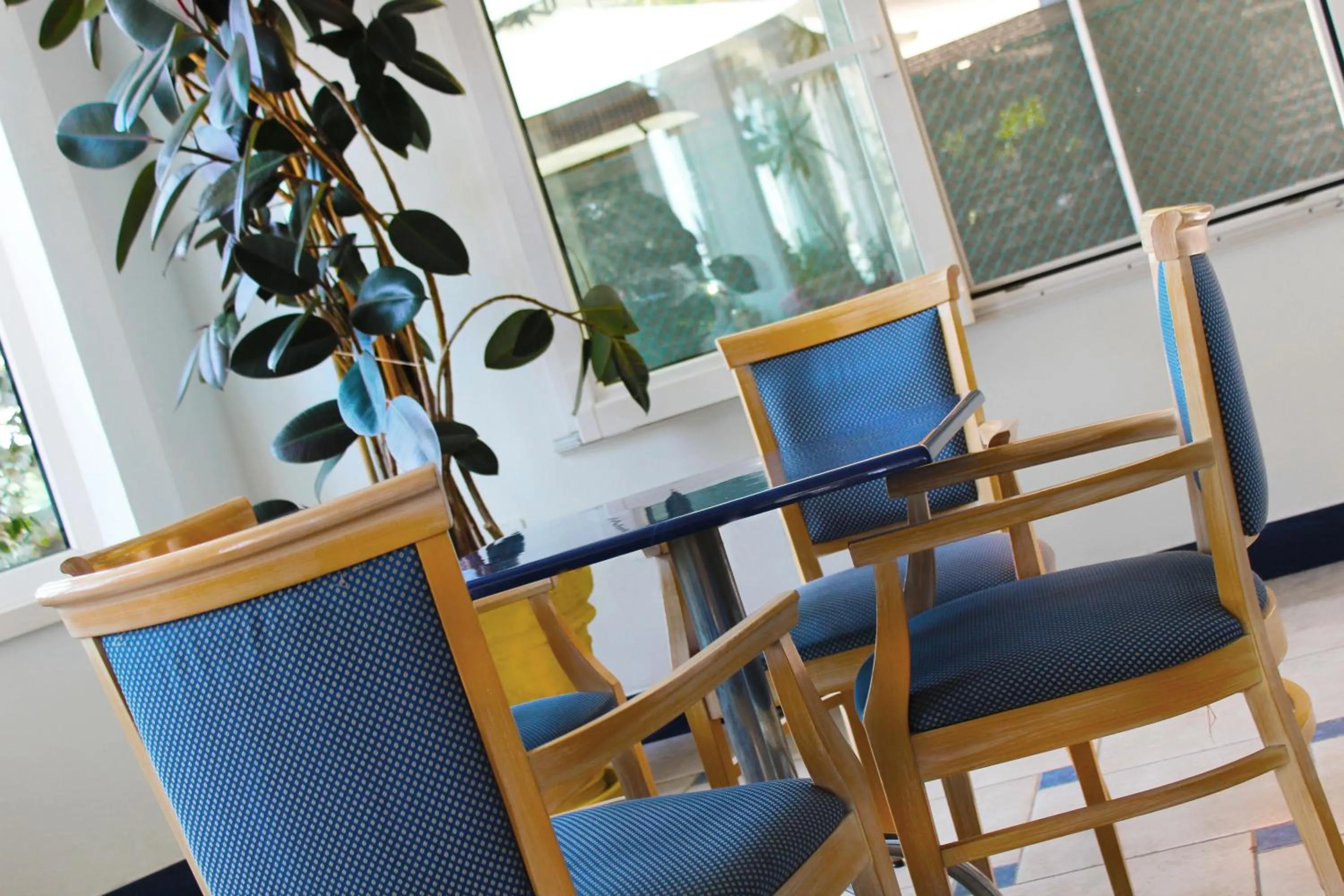 Lounge or bar in Hotel Bristol - a 30 mt dalla spiaggia