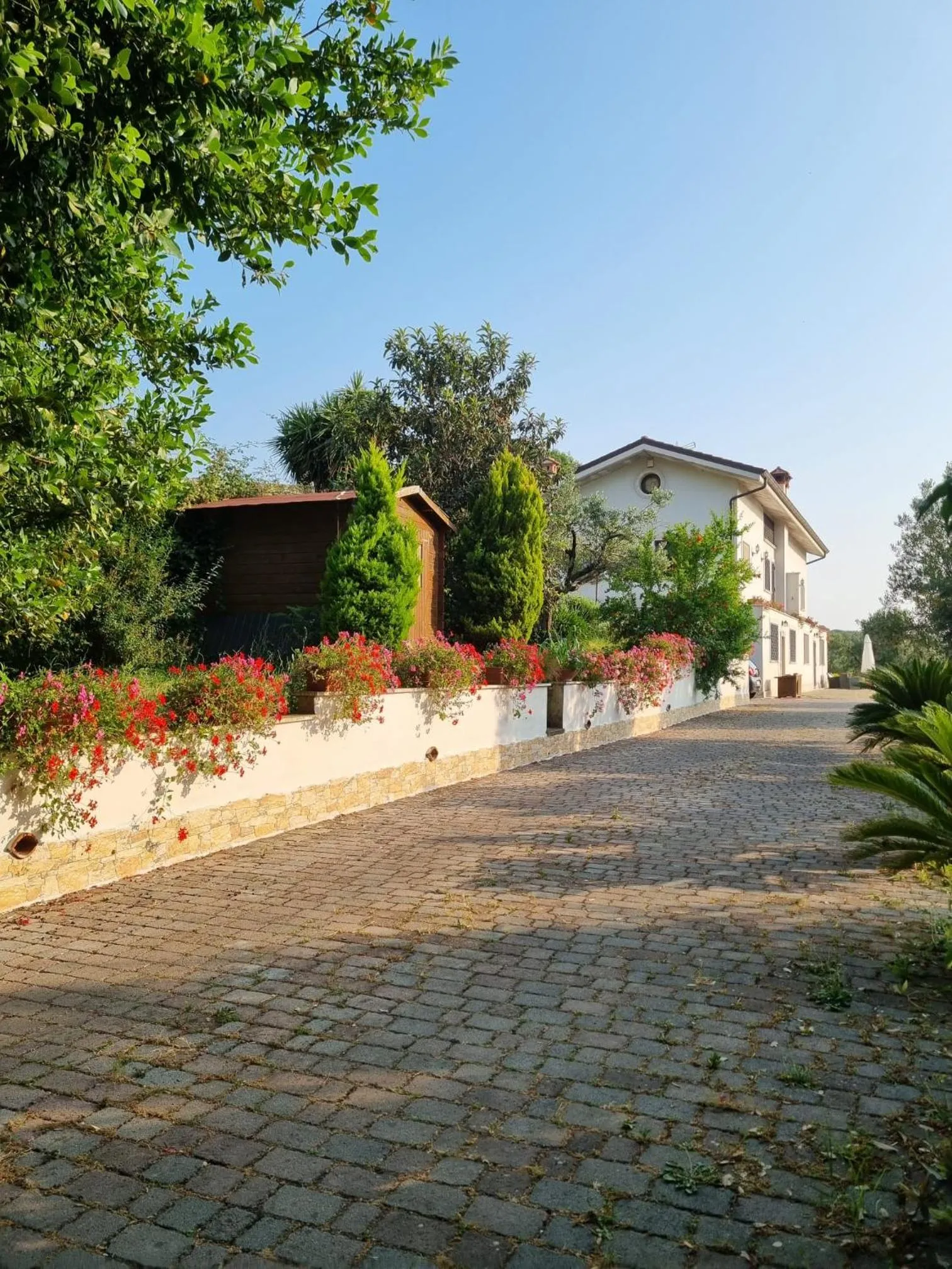 B&B La Terrazza di Frascati