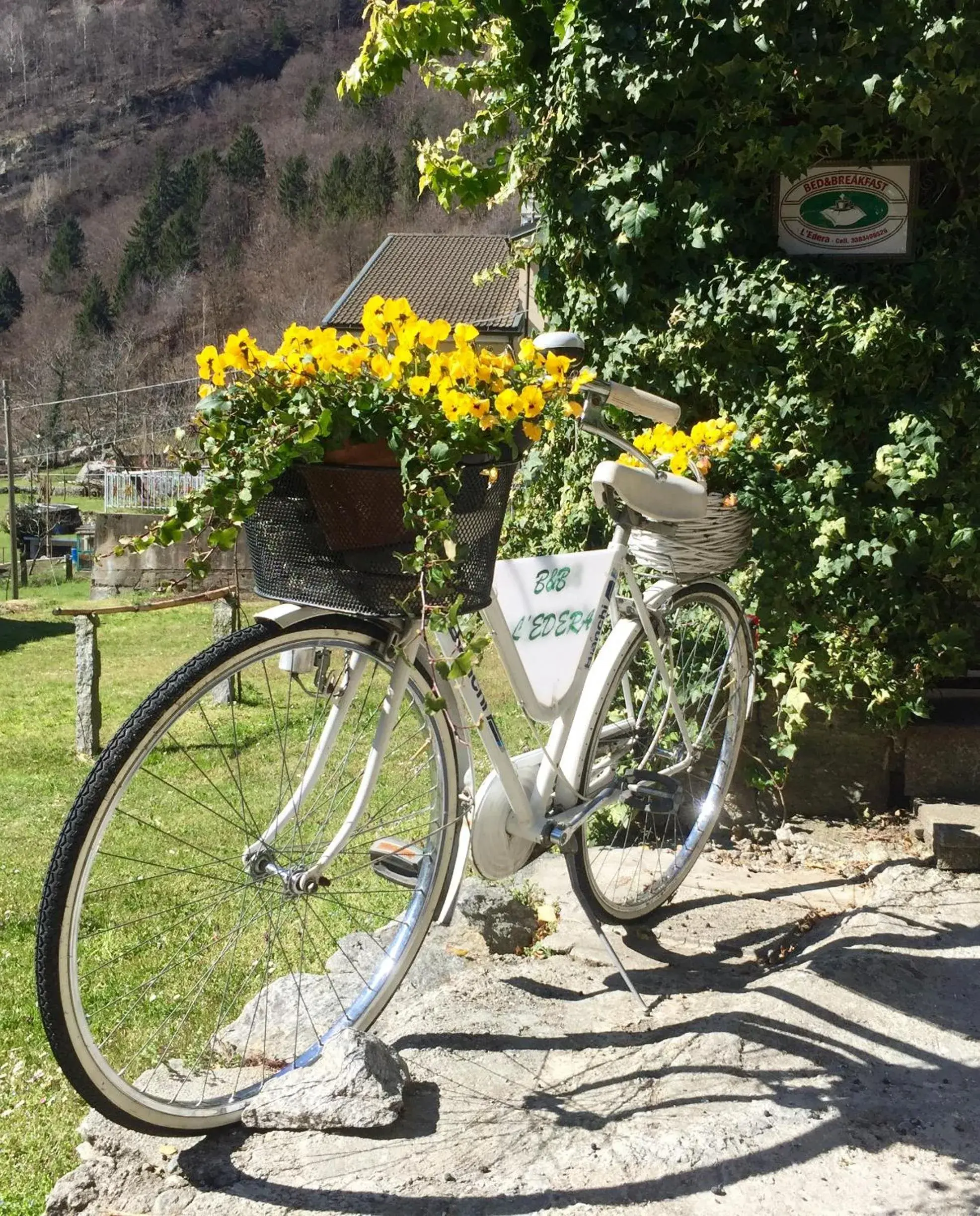 B&B L'Edera B&B L'Edera