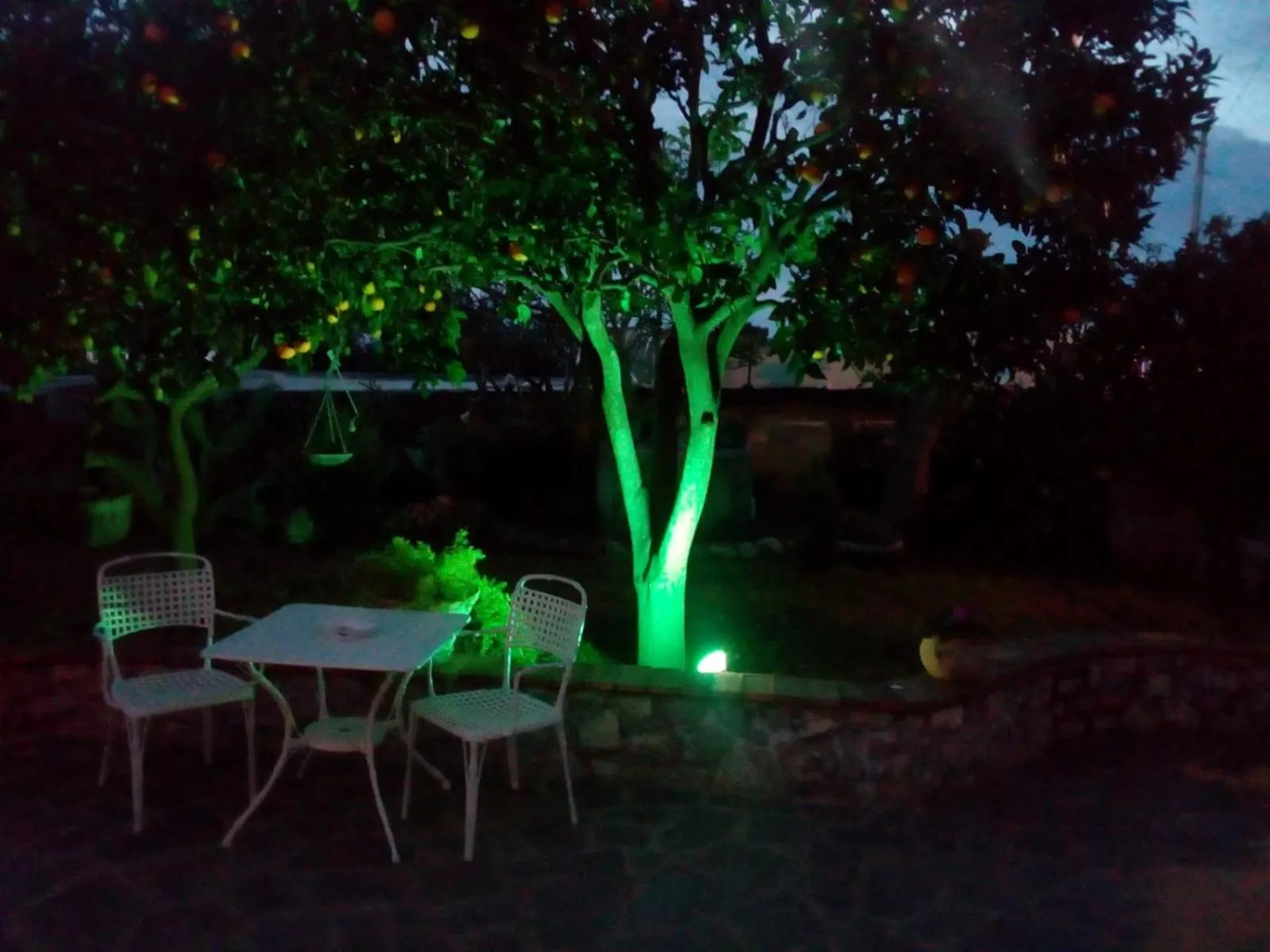 Property building in Casetta Minghitto Relaxing rooms in Capri