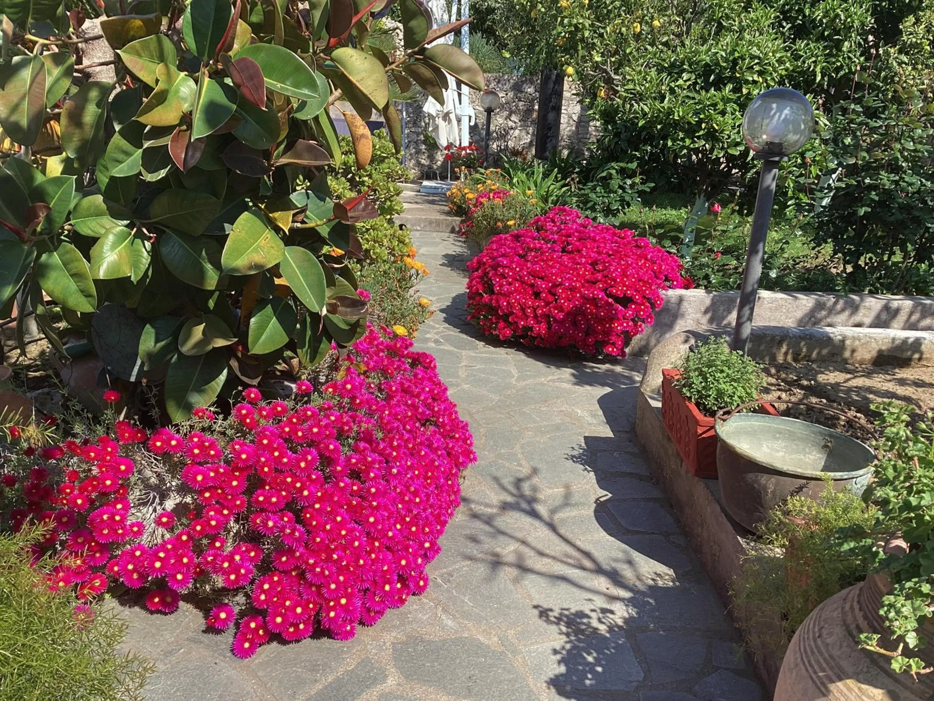 Garden in Casetta Minghitto Relaxing rooms in Capri