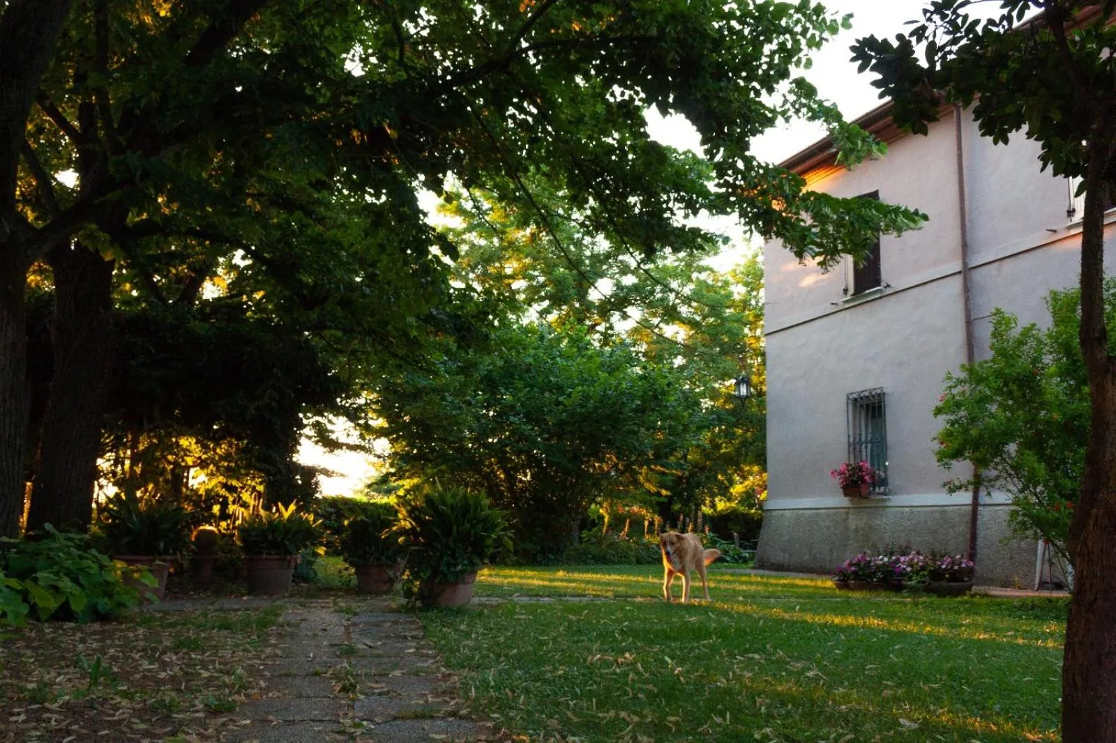 Property building in Cà Morari