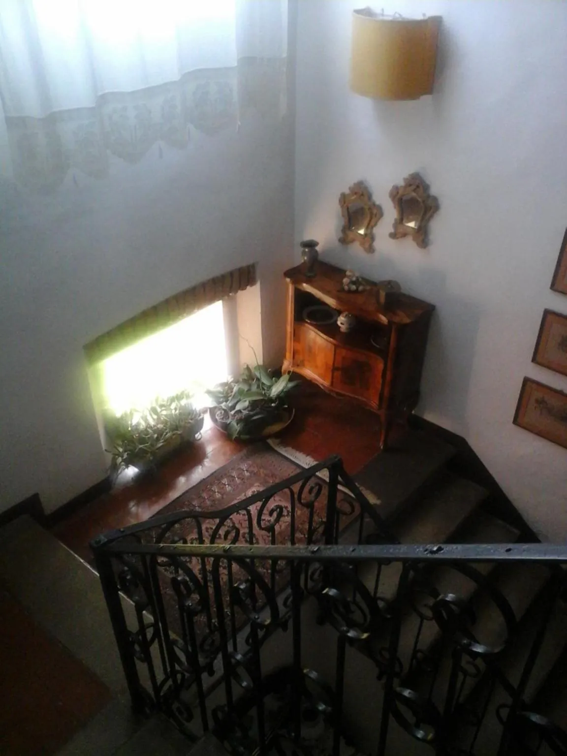 Cà Morari