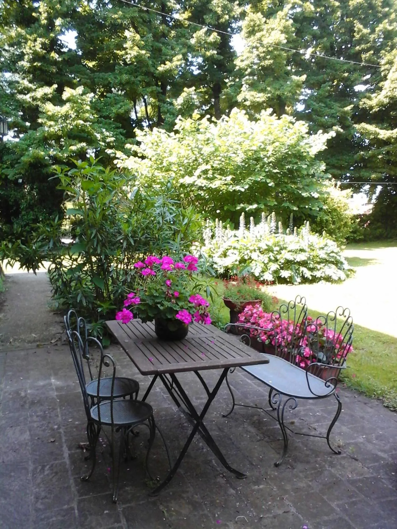 Cà Morari