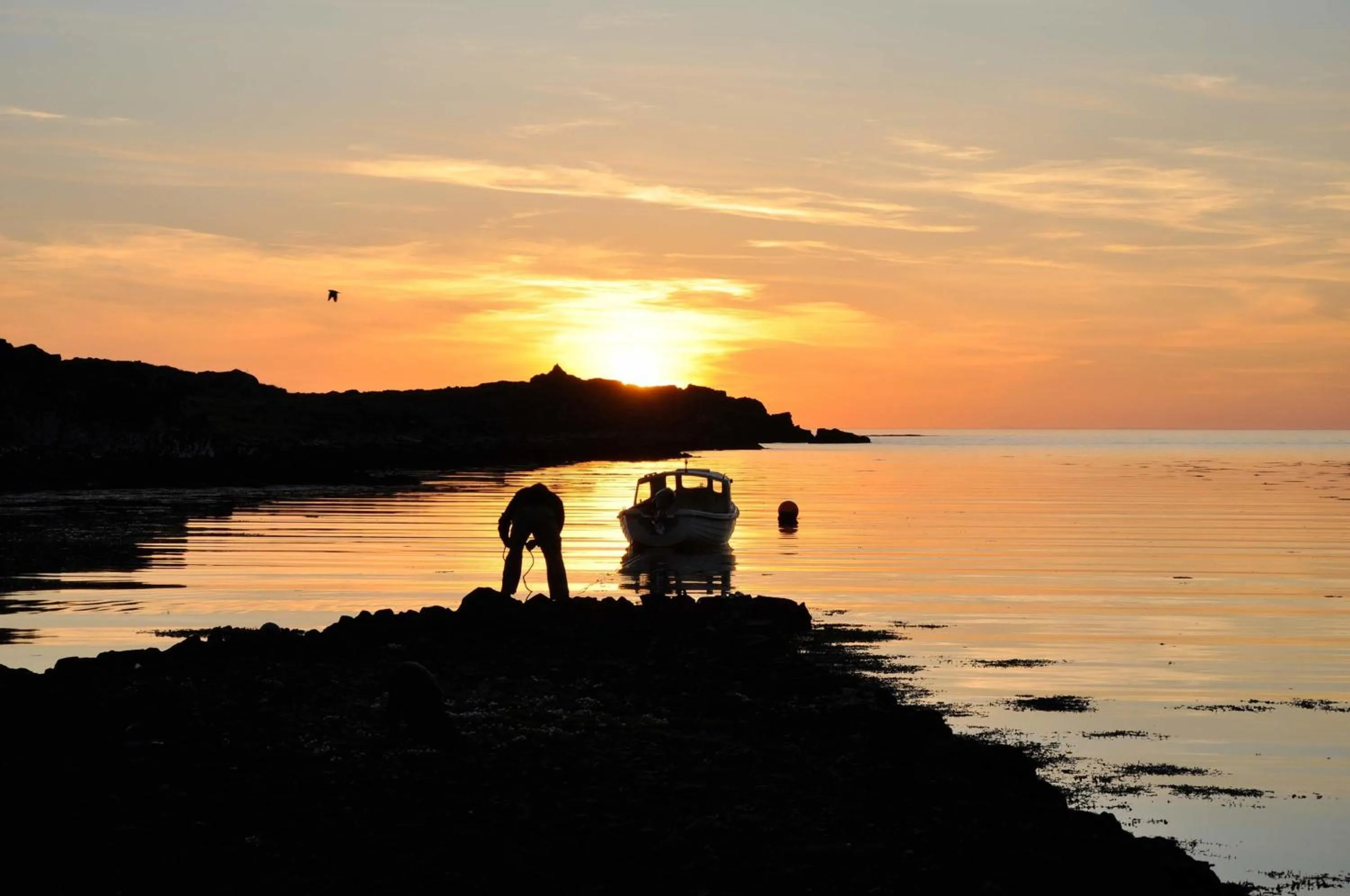 Natural landscape in Glengorm Castle
