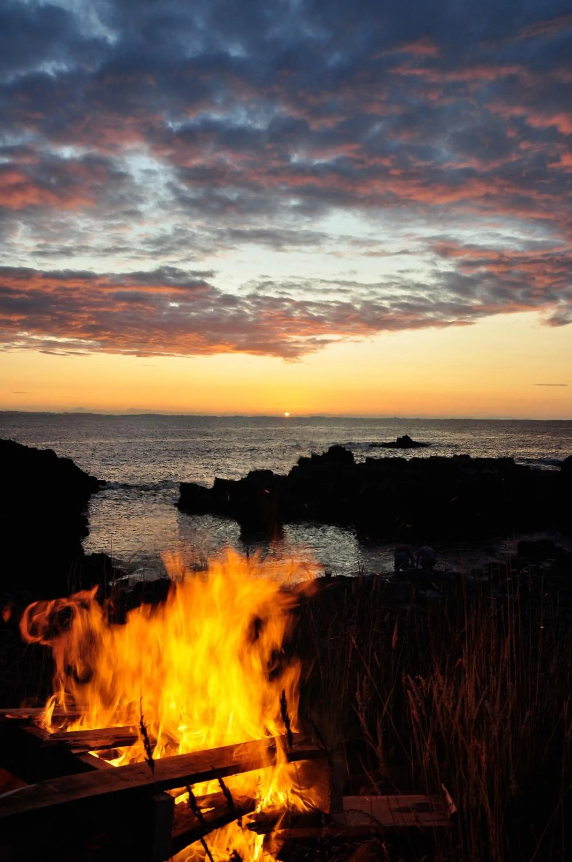 Natural landscape in Glengorm Castle
