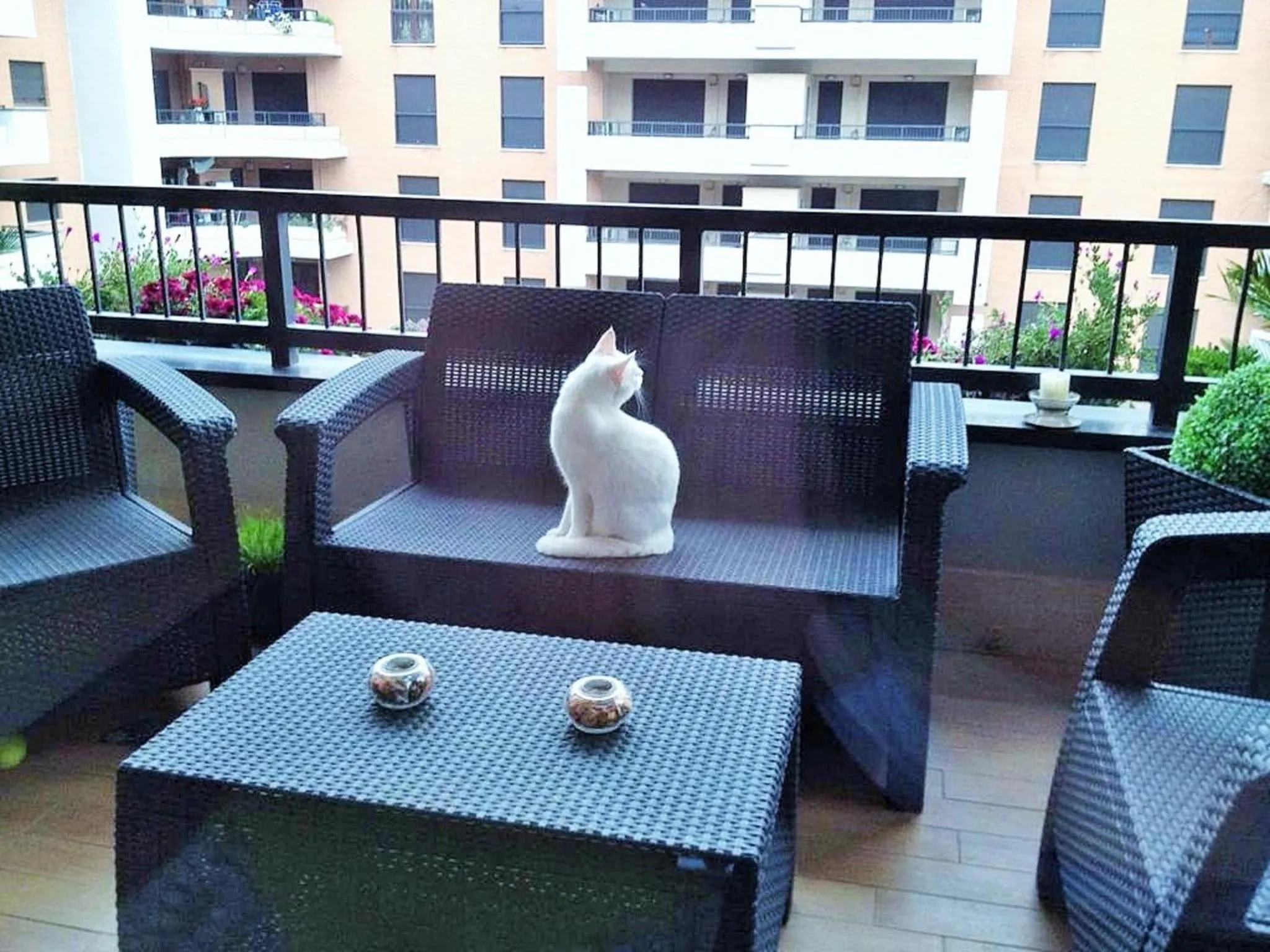 Balcony/Terrace in Domus al Parco Guest House