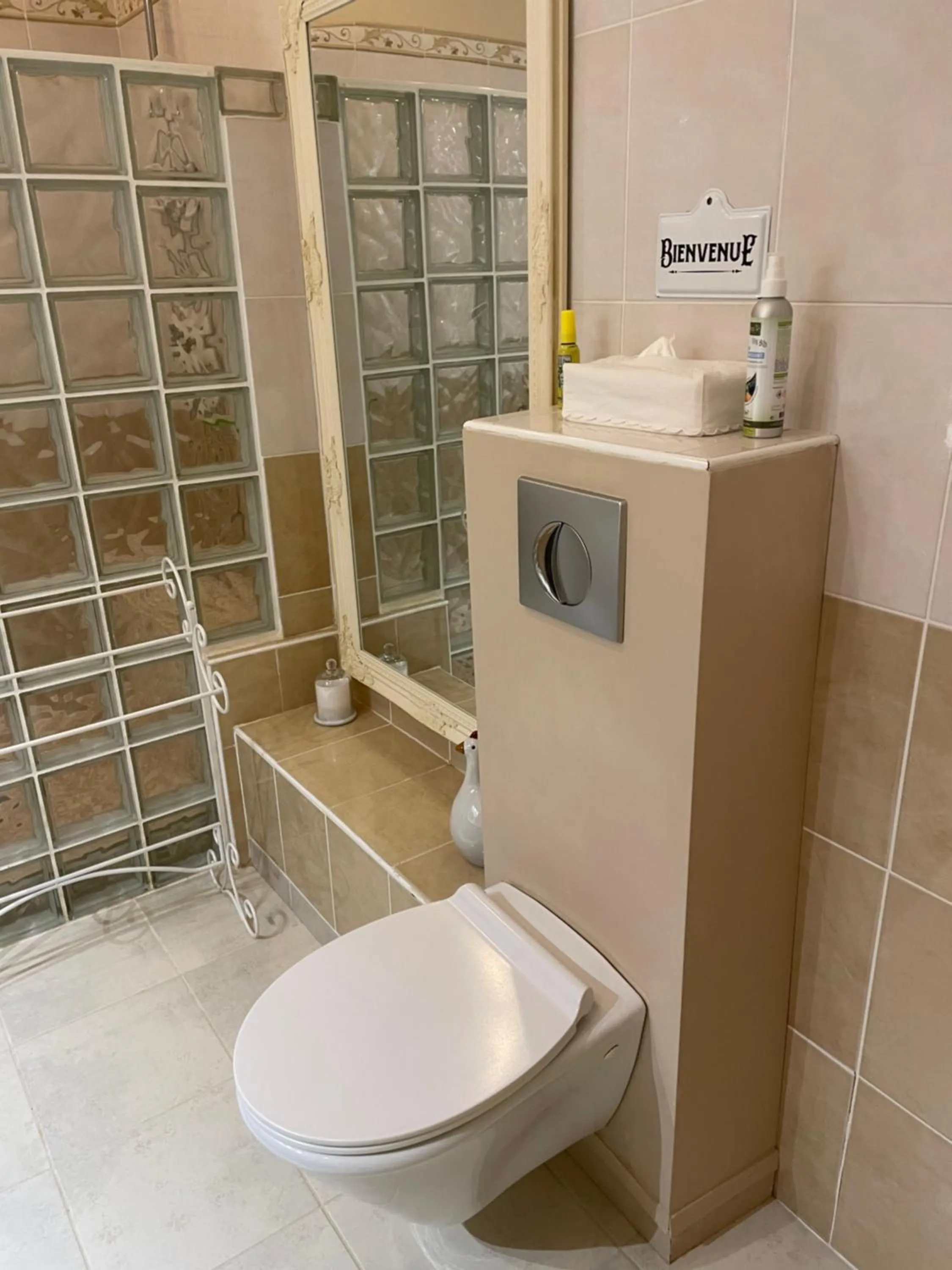 Toilet in Chambre d'Hôte Couguiolet - avec piscine