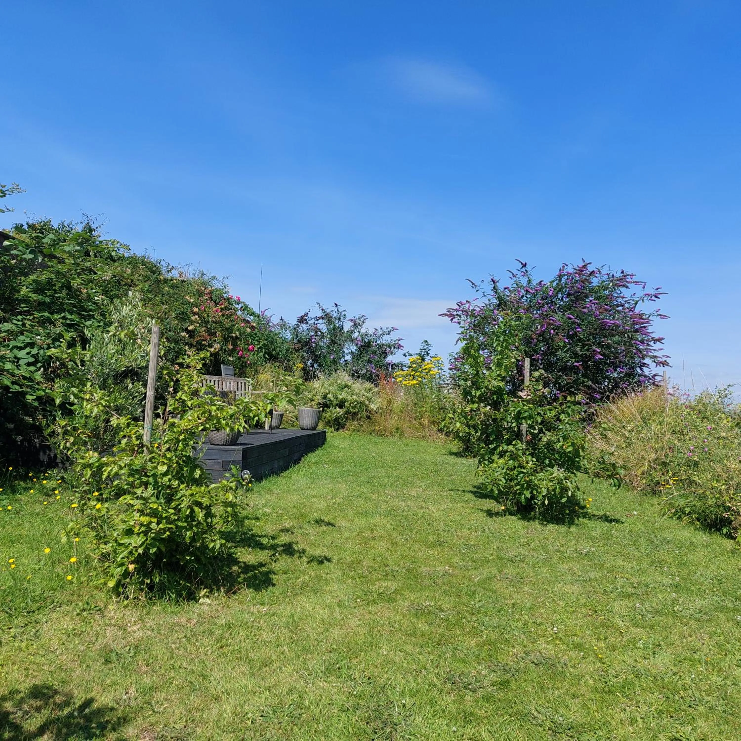 Garden in The Old Court House Guest House