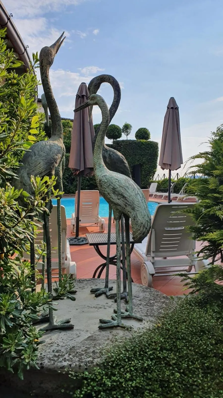 Swimming pool in Relais I Due Roccoli