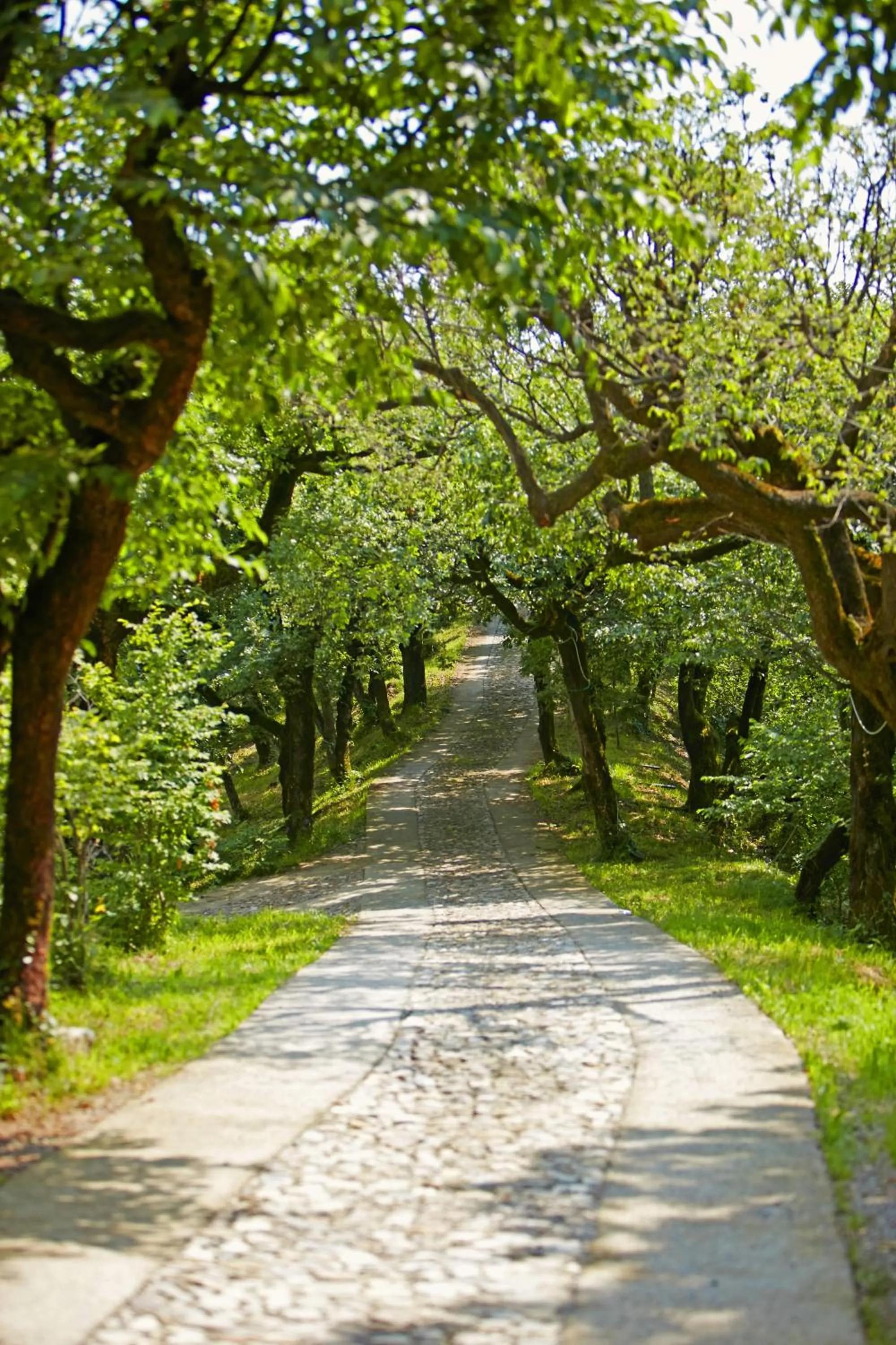 Natural landscape in Relais I Due Roccoli