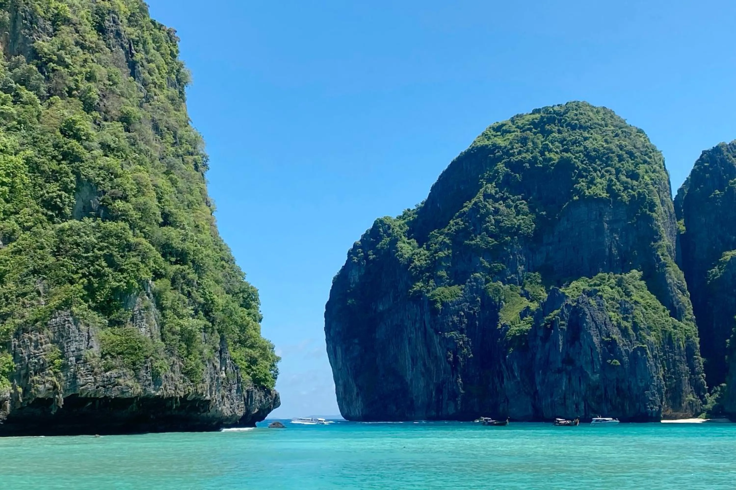 Natural landscape in SJ Beach House Patong