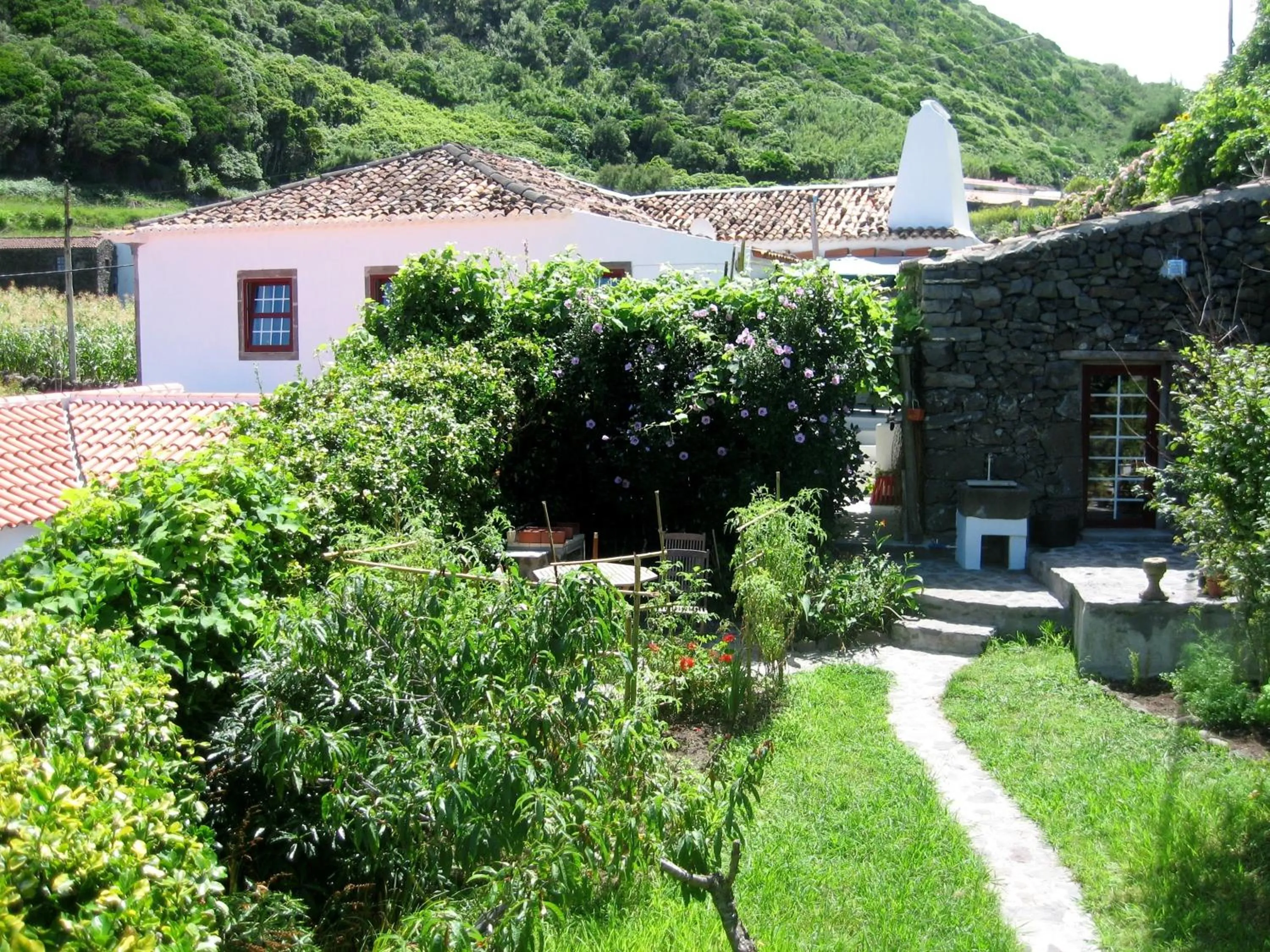 Garden in O Palheiro