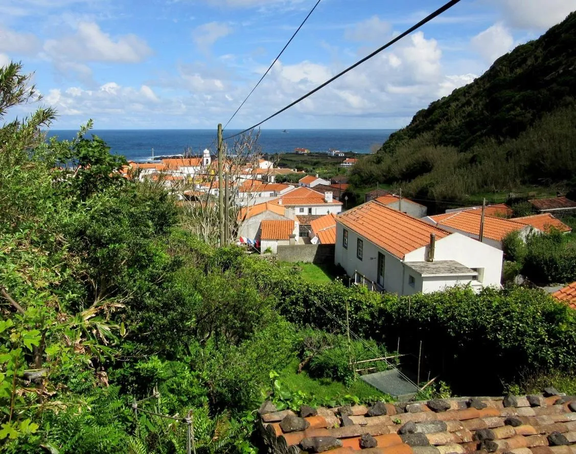 View (from property/room) in O Palheiro