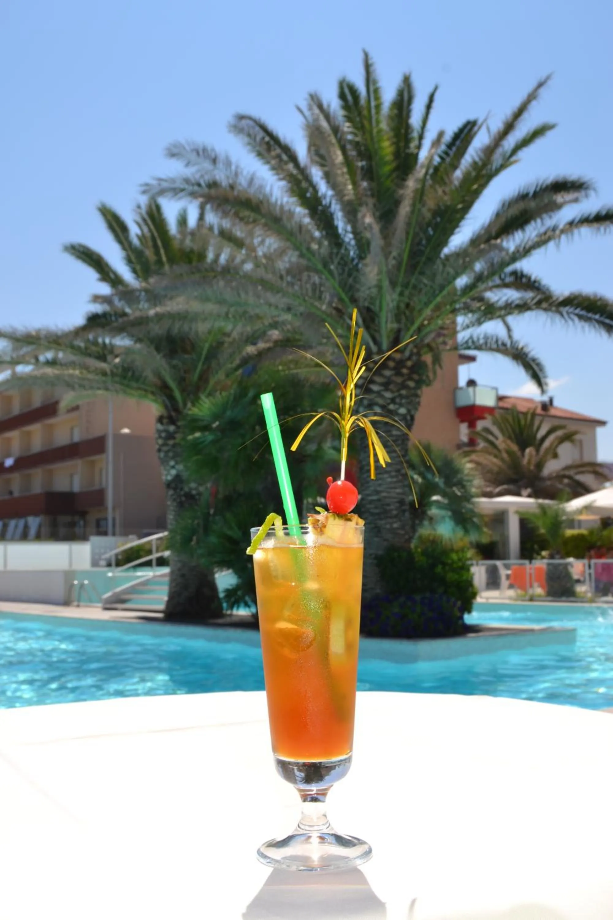 Garden in Hotel Metropol