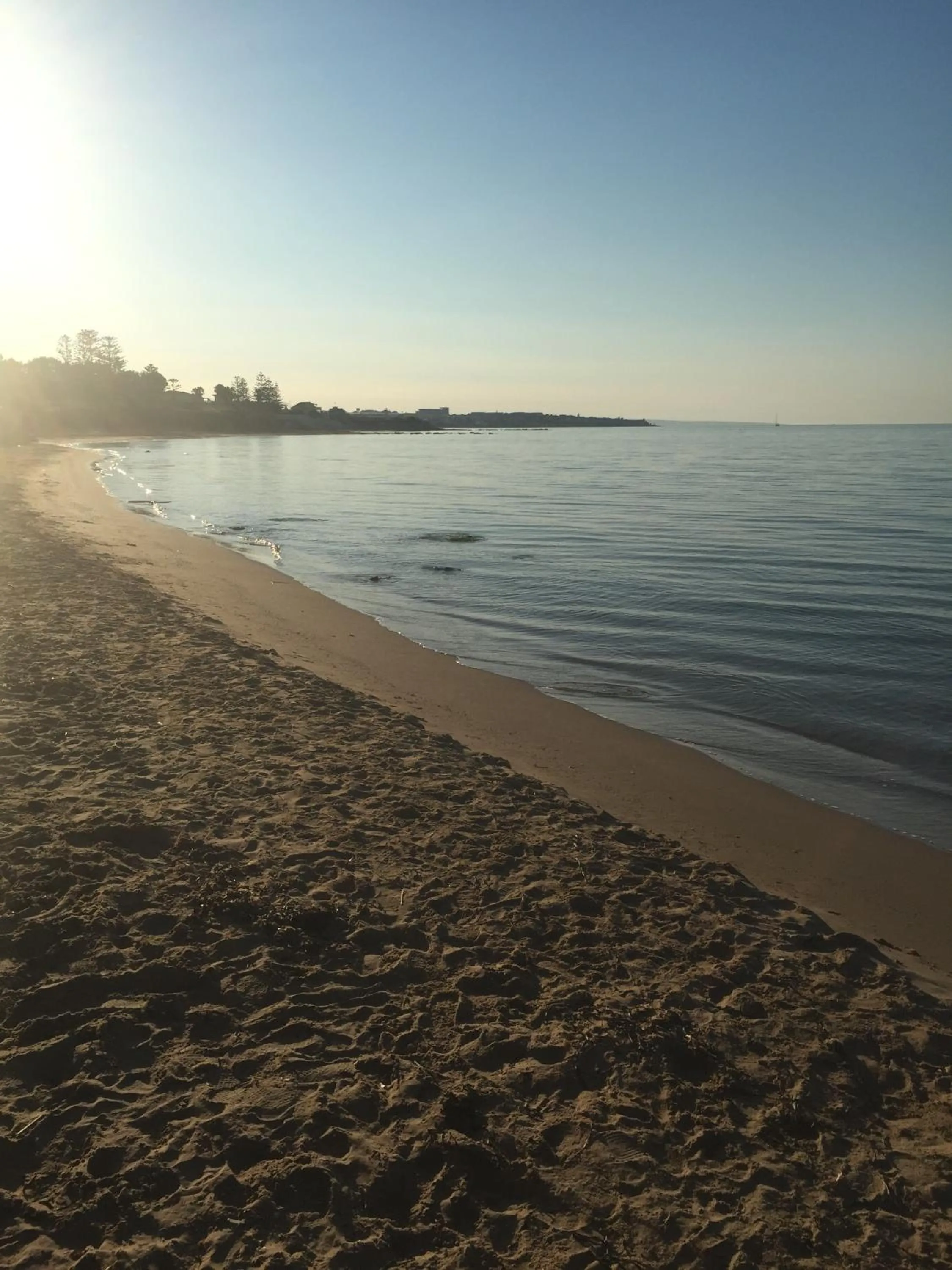 Summer in B&B Fiori Gialli Caucana