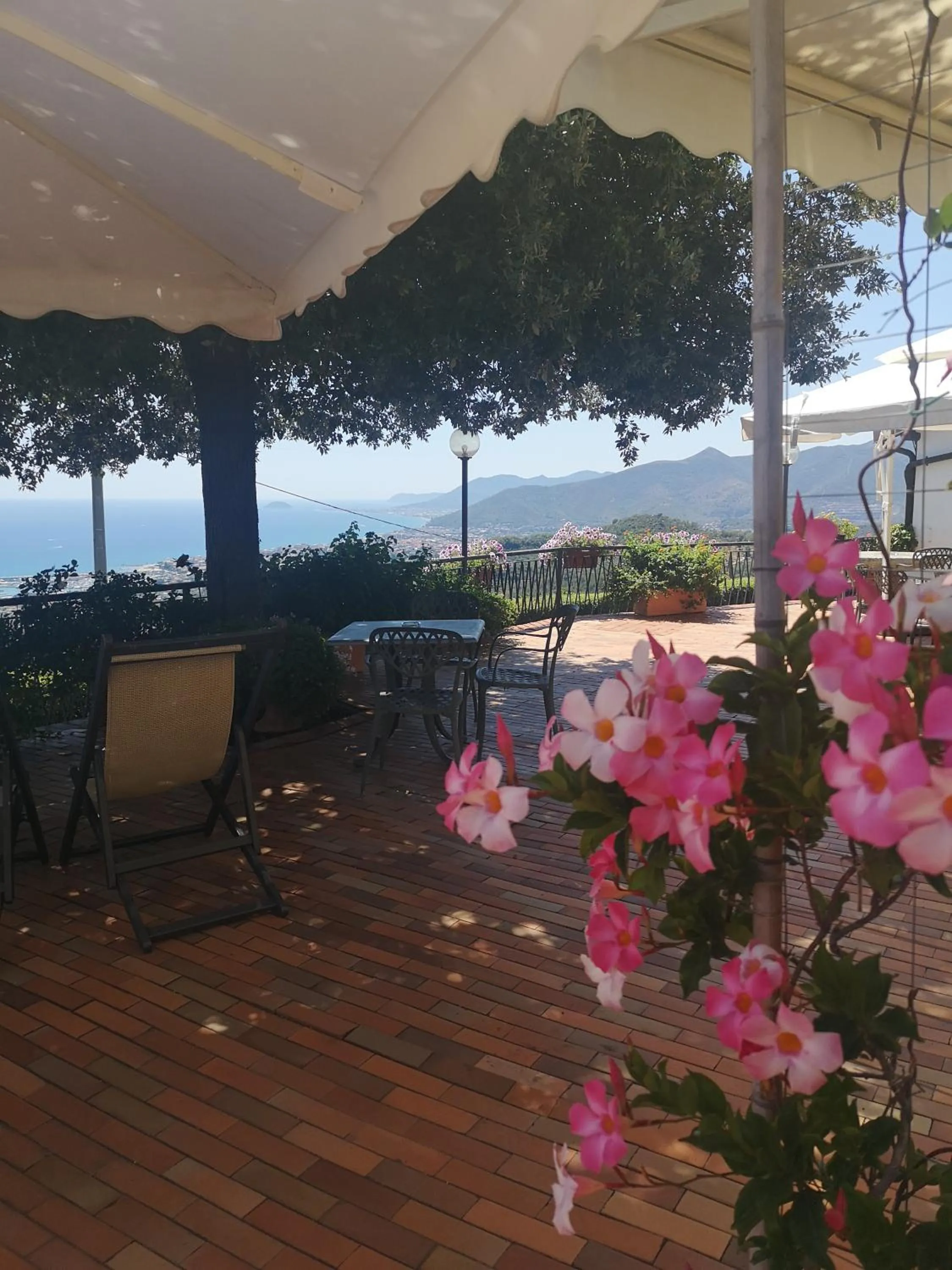 Restaurant/places to eat in Il Capanno