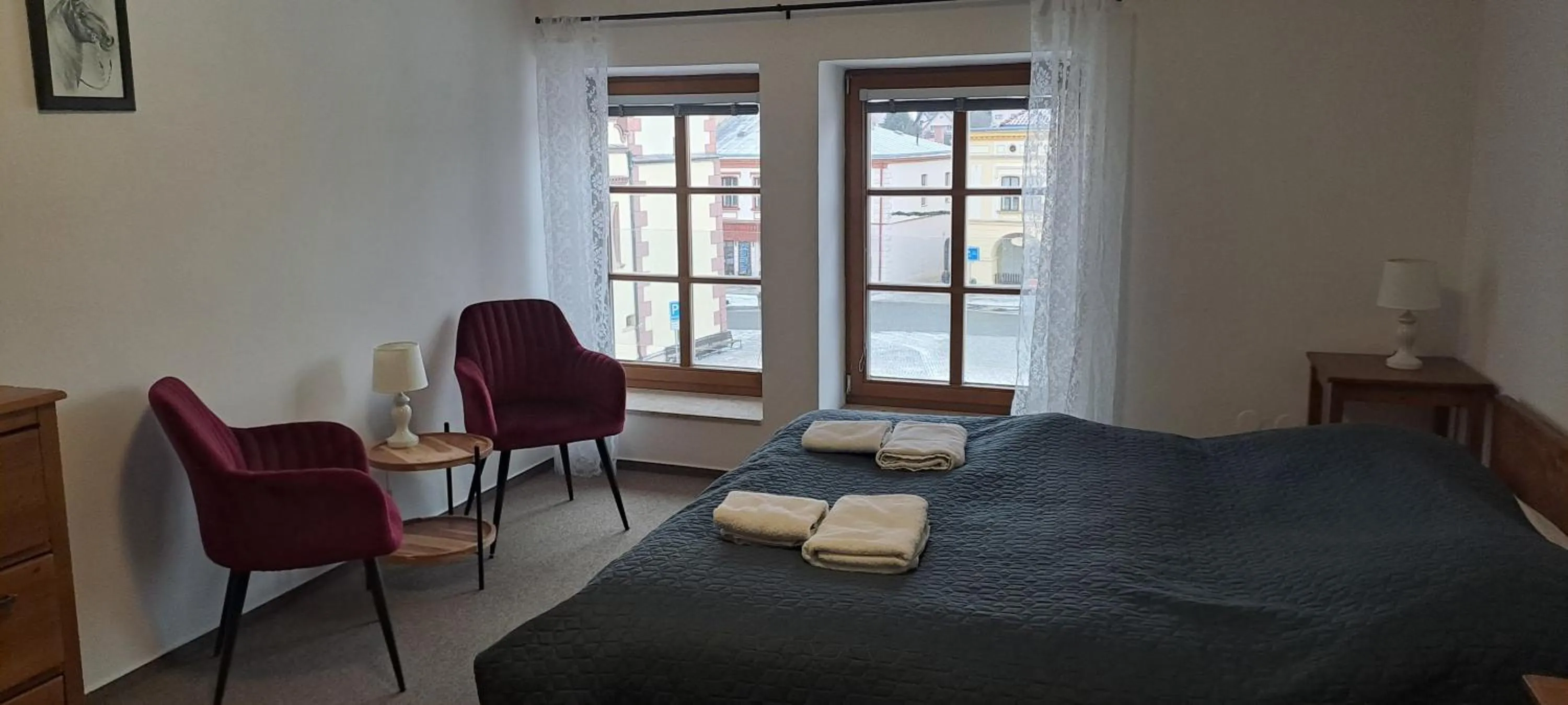 Superior Double Room - single occupancy in Penzion Adler