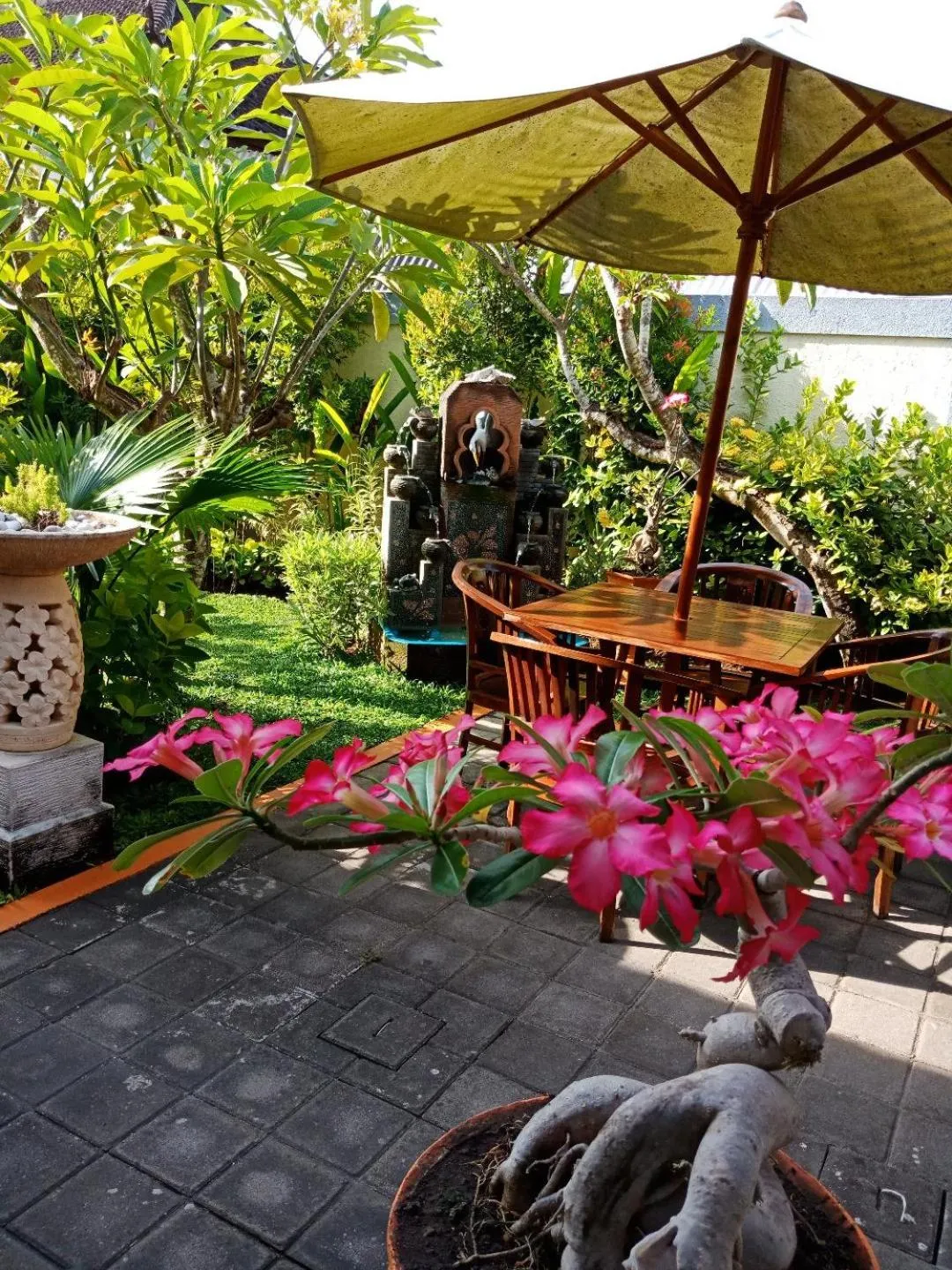 Garden in Frangipani Homestay