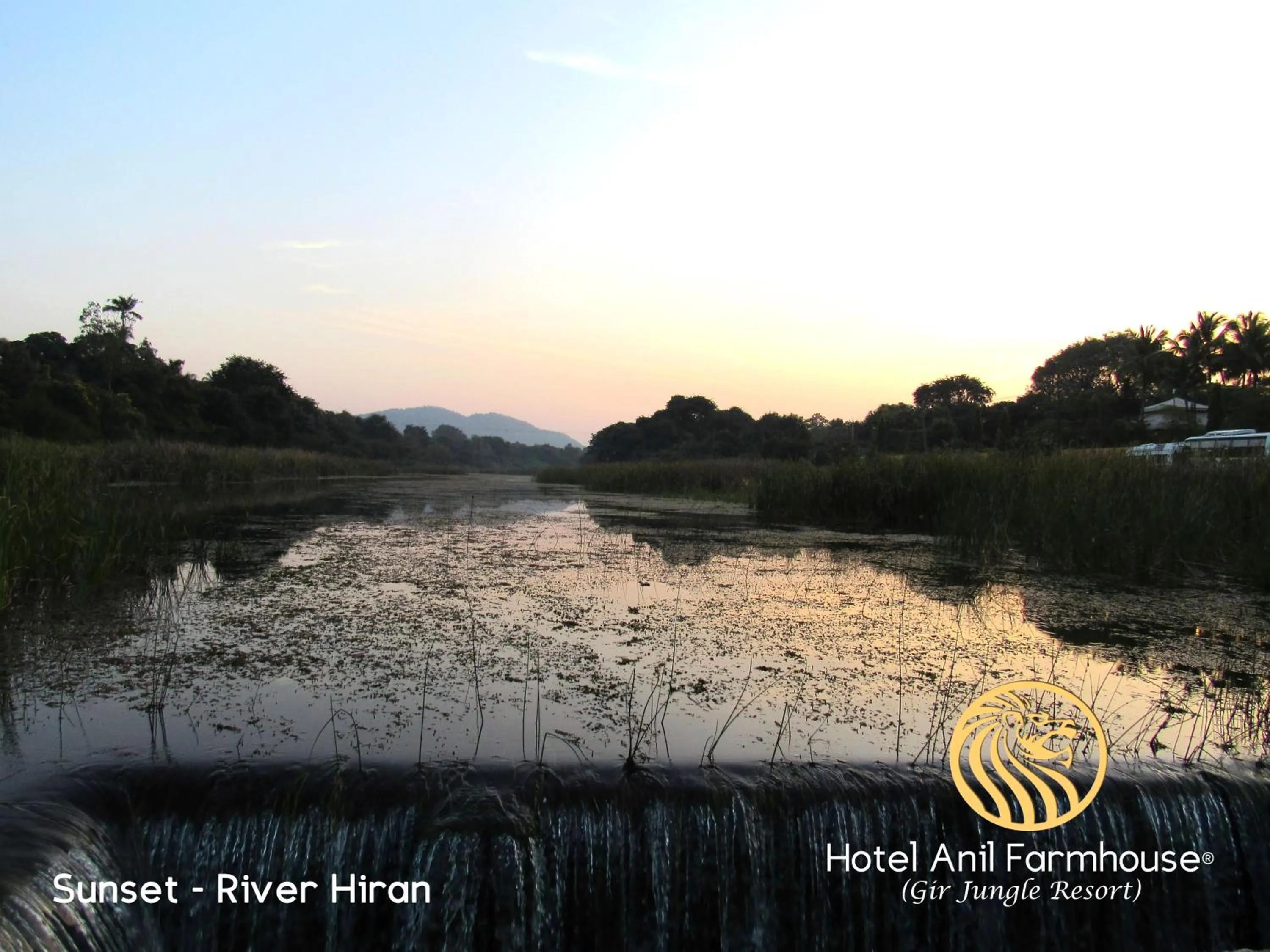 Off site in Anil Farms Gir Jungle Resort