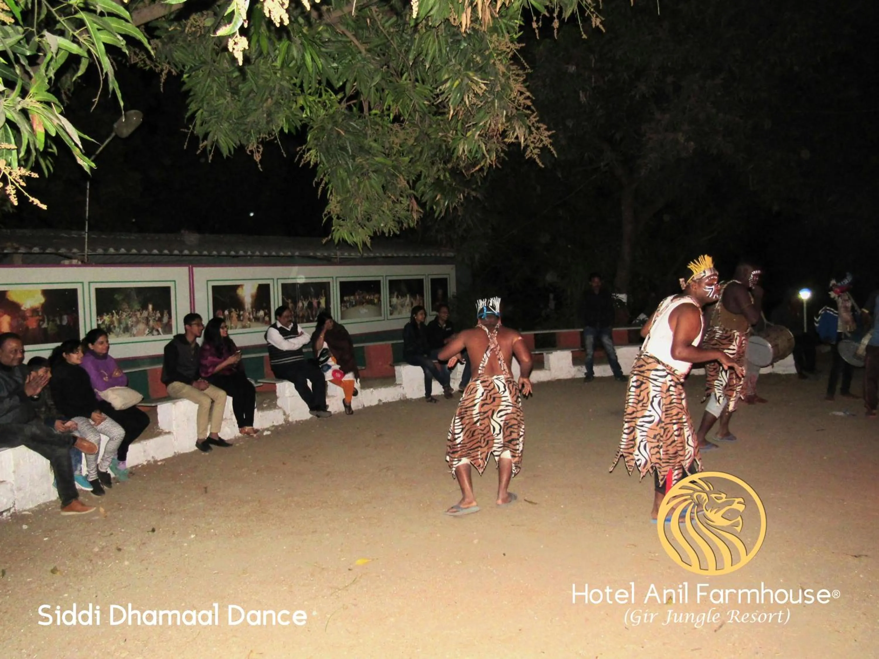 Evening entertainment in Anil Farms Gir Jungle Resort