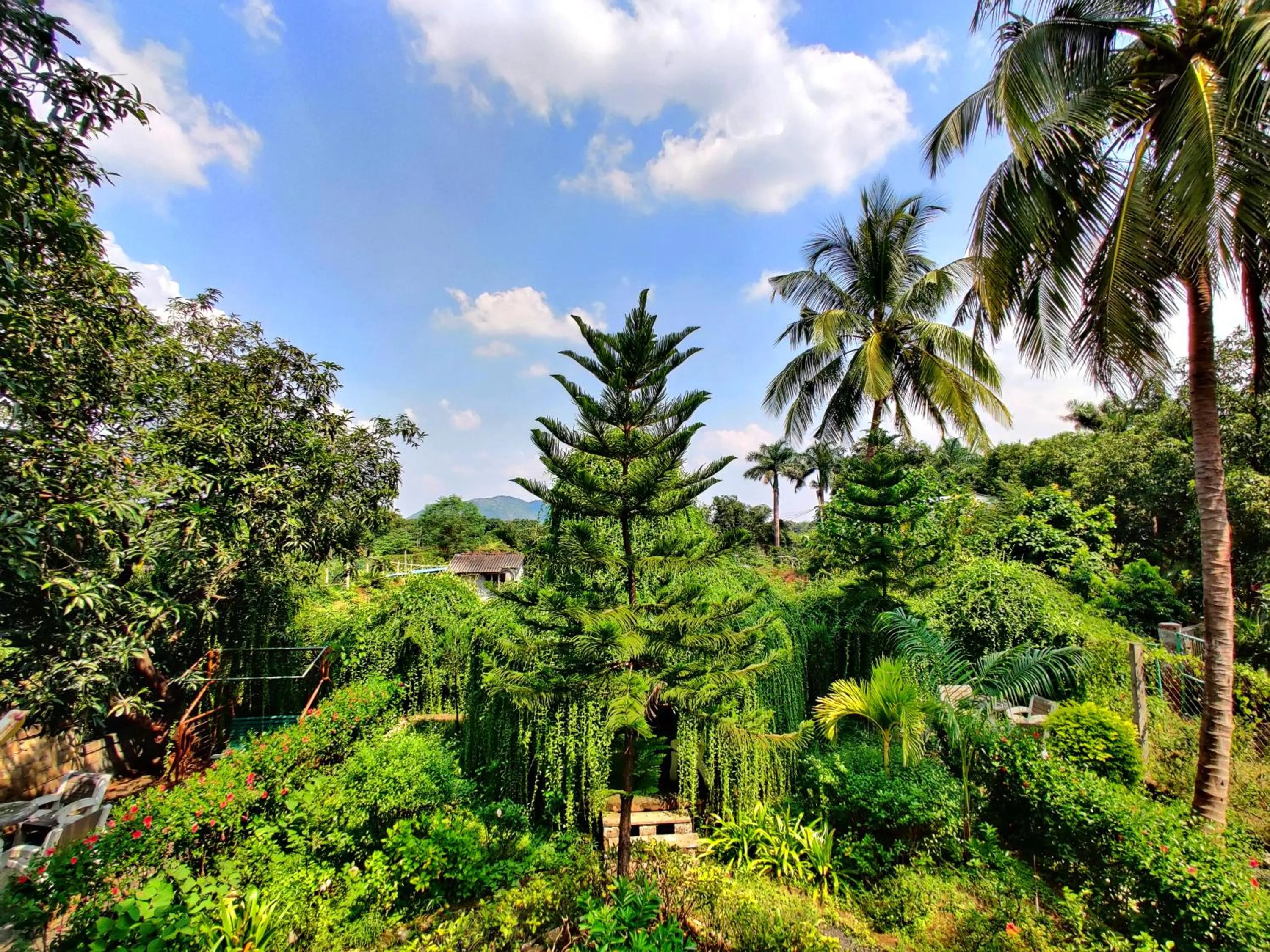 Garden in Anil Farms Gir Jungle Resort
