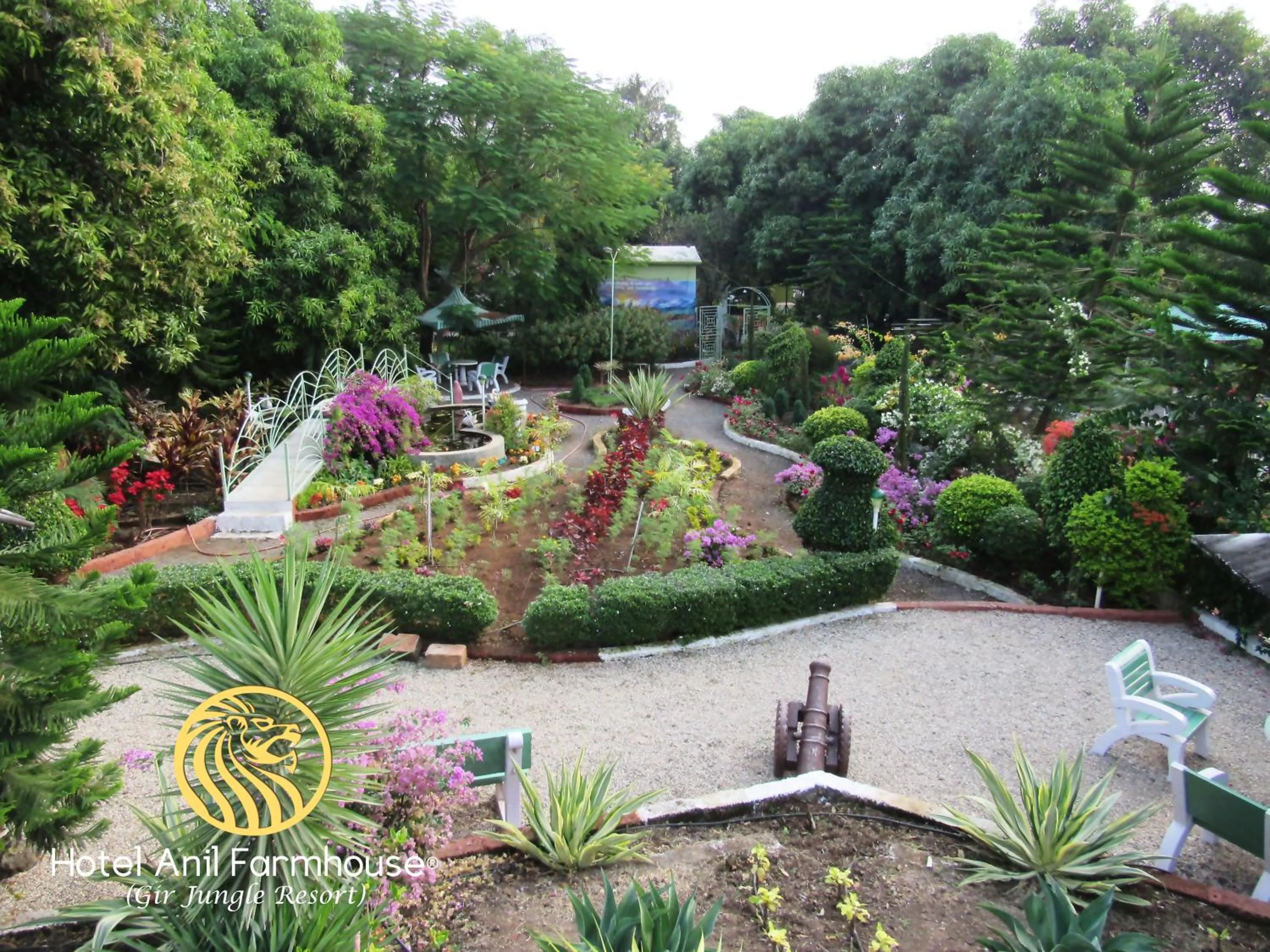 Natural landscape in Anil Farms Gir Jungle Resort