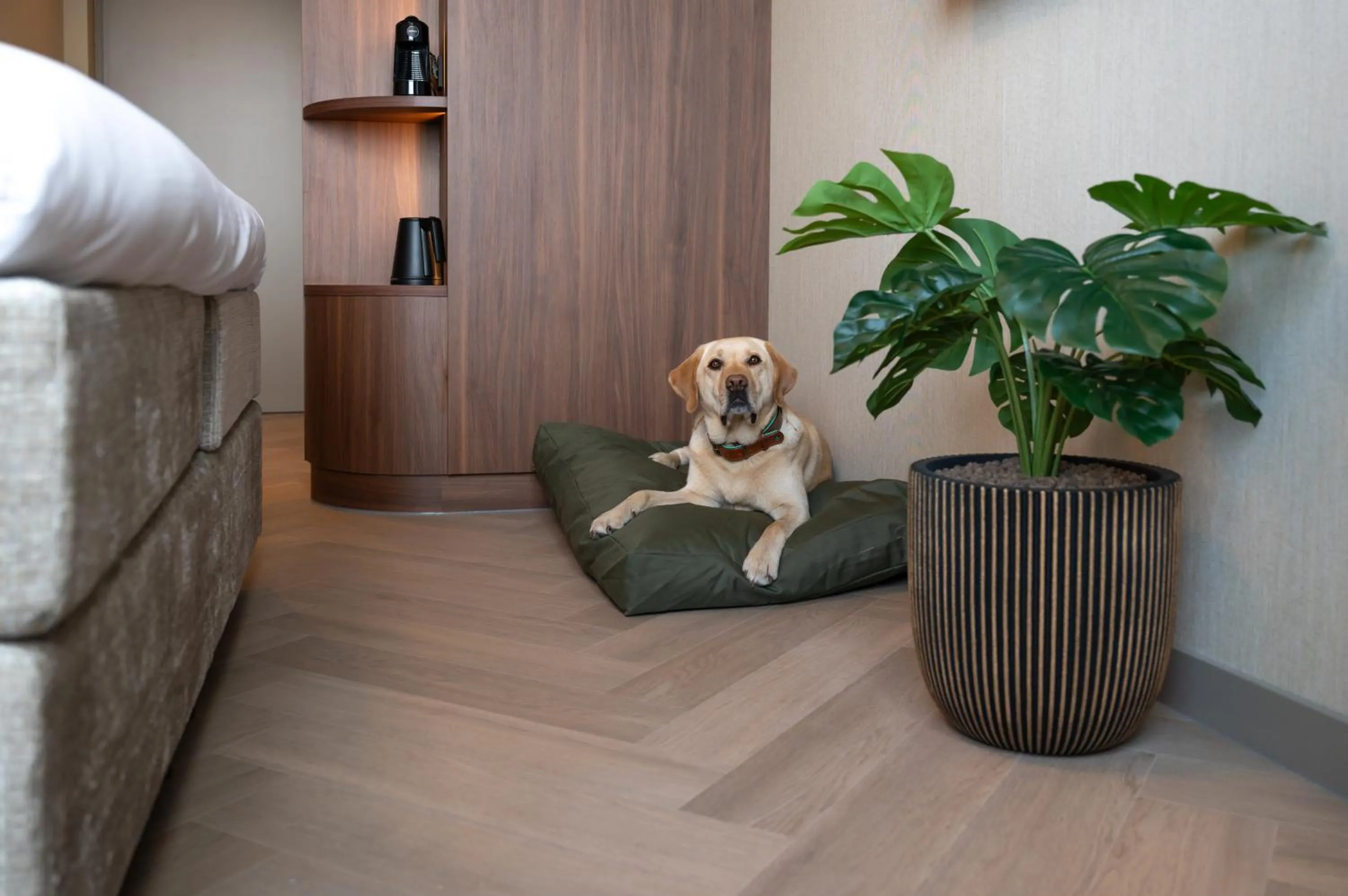 Pets in Hotel De Zeevaartschool