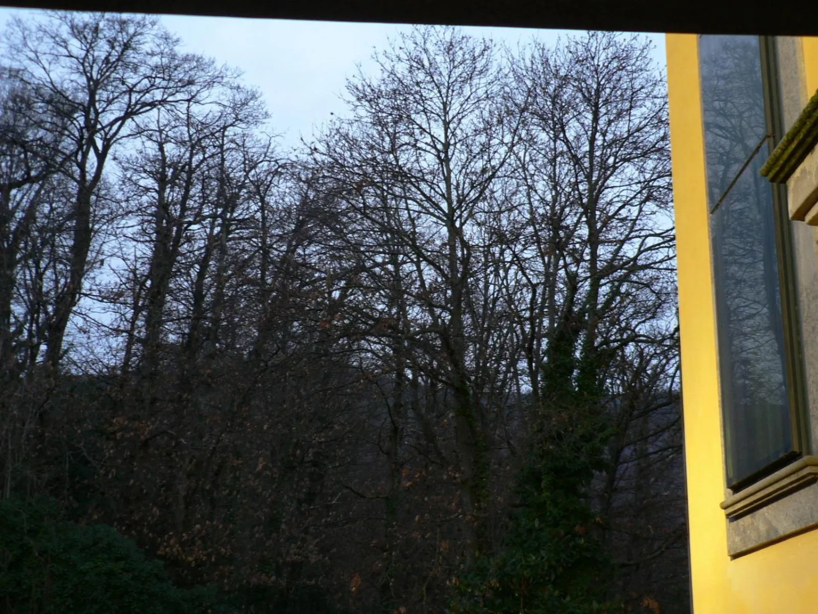 View (from property/room) in Benito Al Bosco