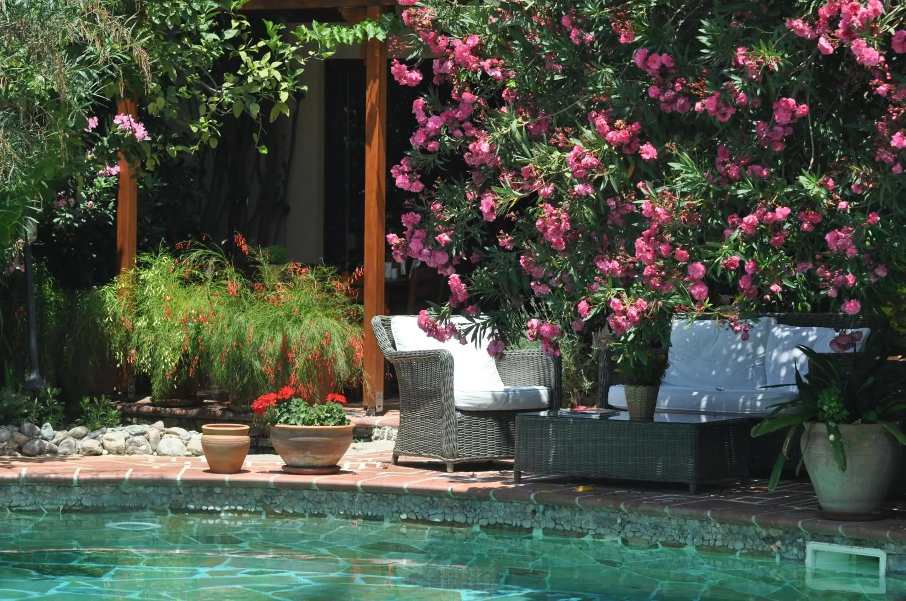 Swimming pool in El Vino Hotel & Suites Swimming pool in El Vino Hotel & Suites