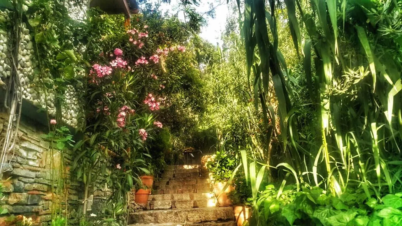 Spring in El Vino Hotel & Suites