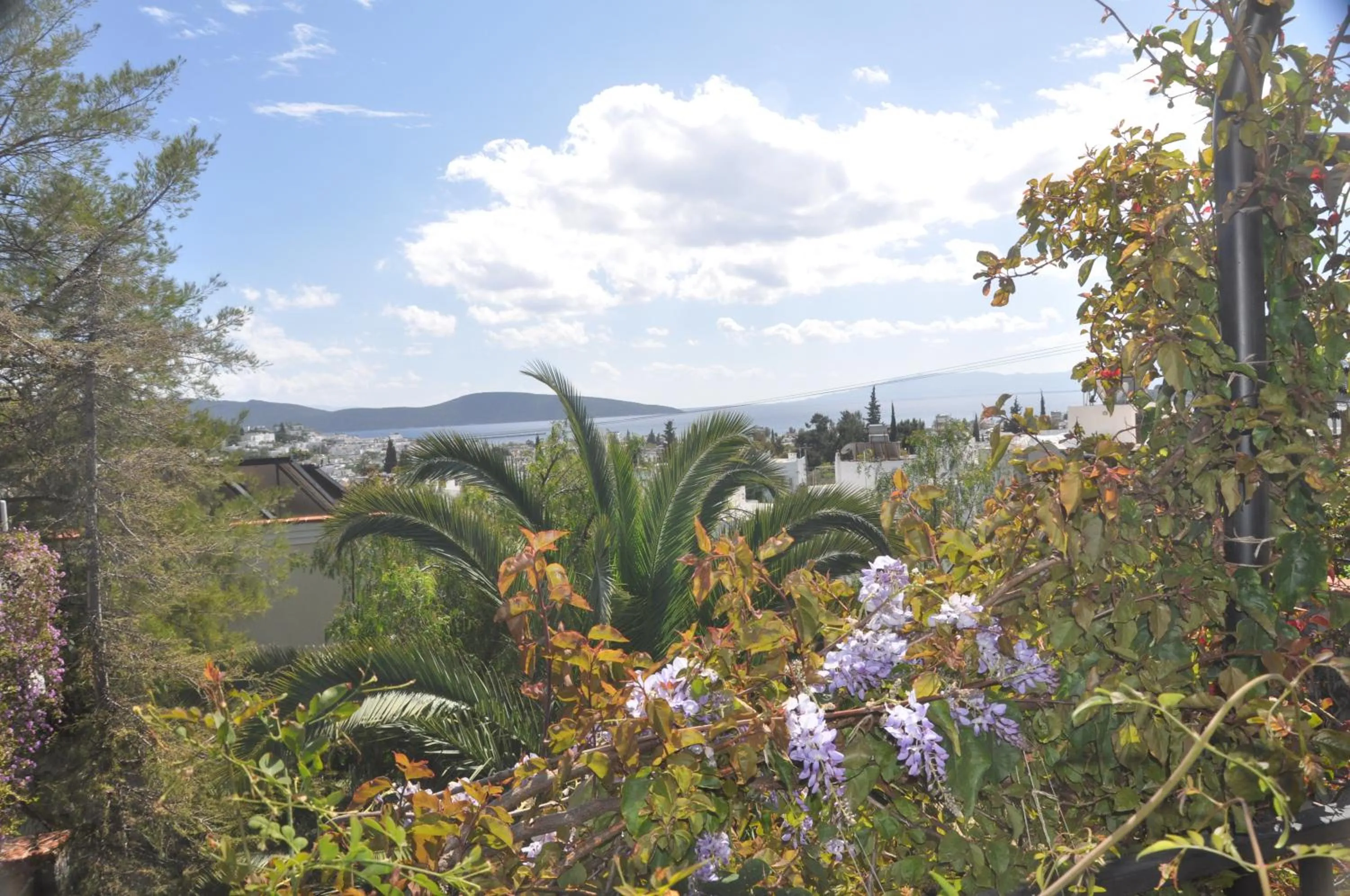 Garden in El Vino Hotel & Suites