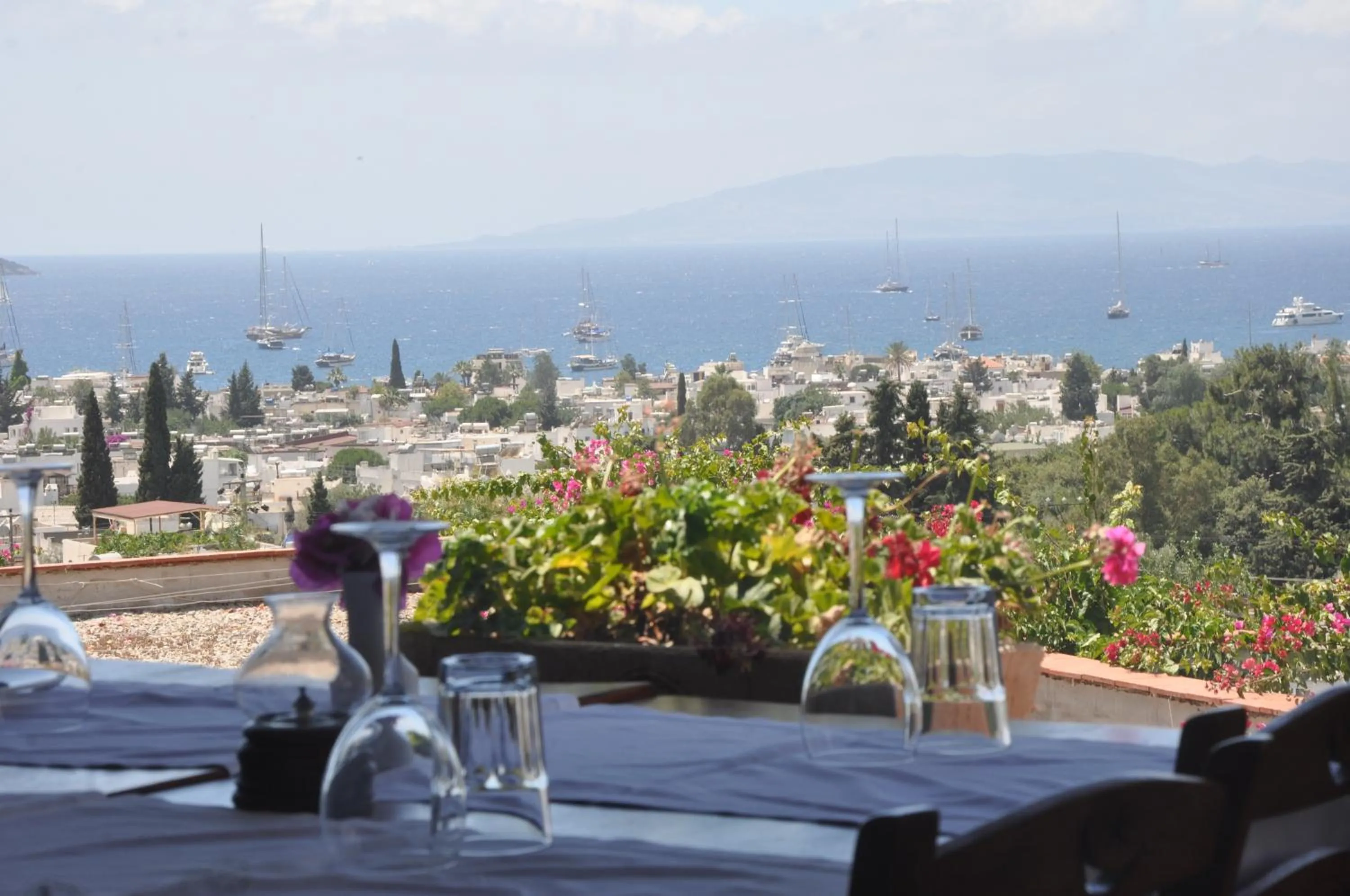 Restaurant/places to eat in El Vino Hotel & Suites