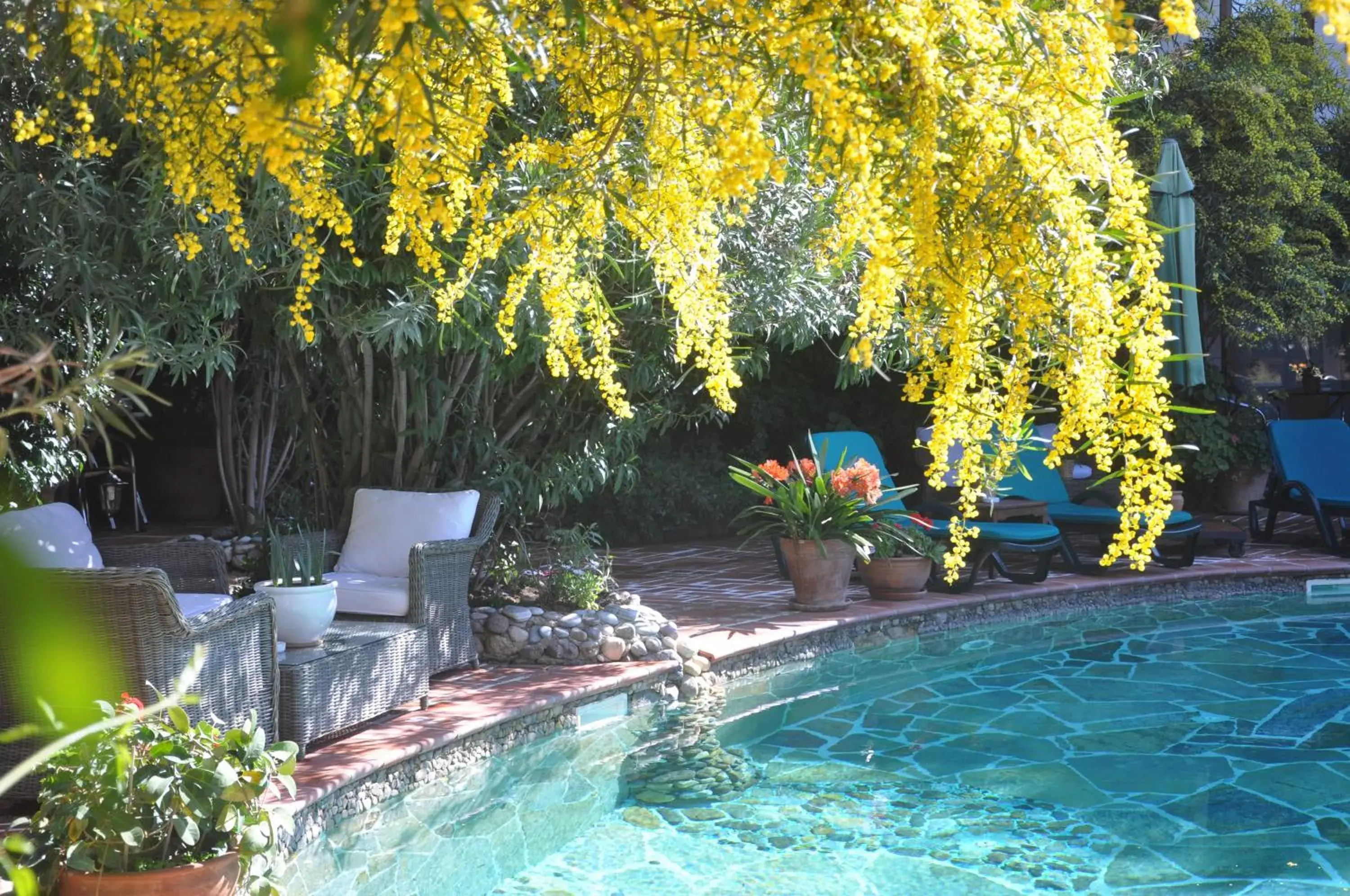 Swimming pool in El Vino Hotel & Suites Swimming pool in El Vino Hotel & Suites