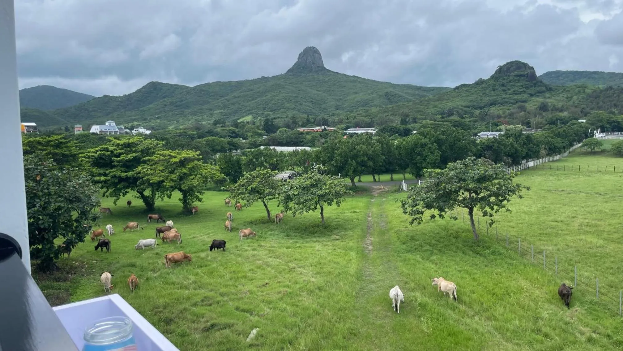 Natural landscape in 海的墾丁旅店 Ocean KT Inn