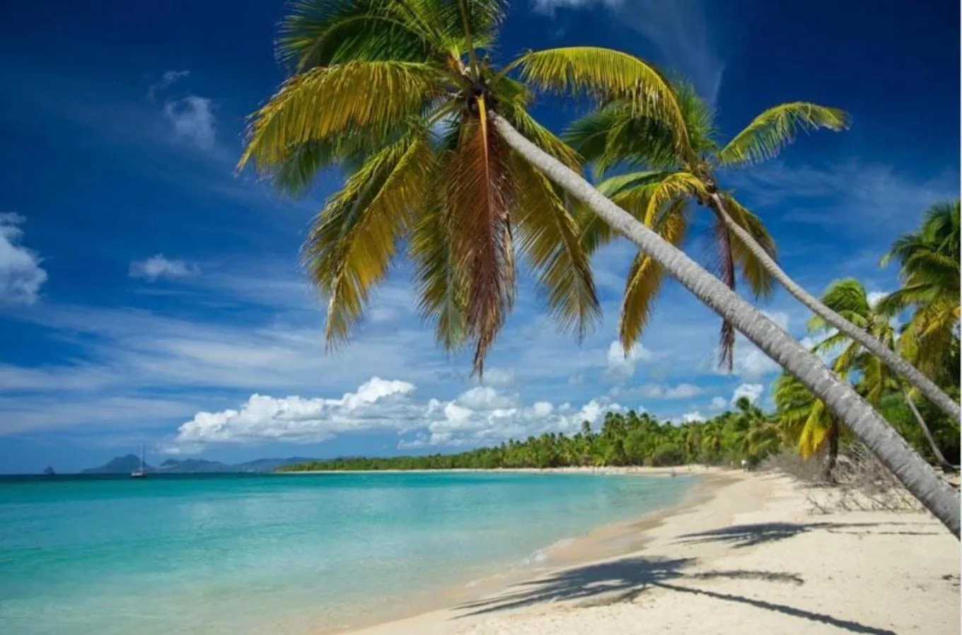 Natural landscape in Bed and breakfast Riviere