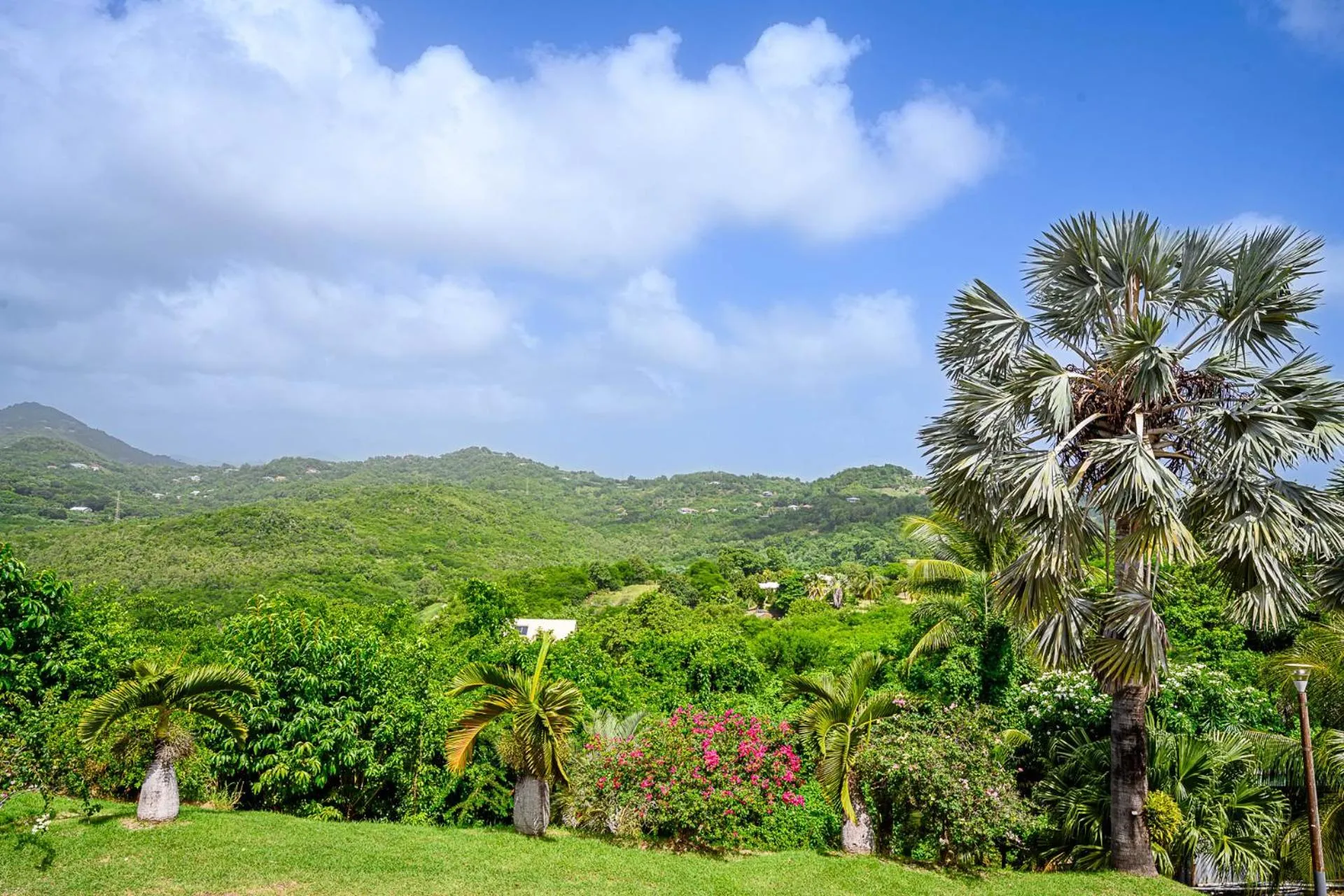 View (from property/room) in Bed and breakfast Riviere