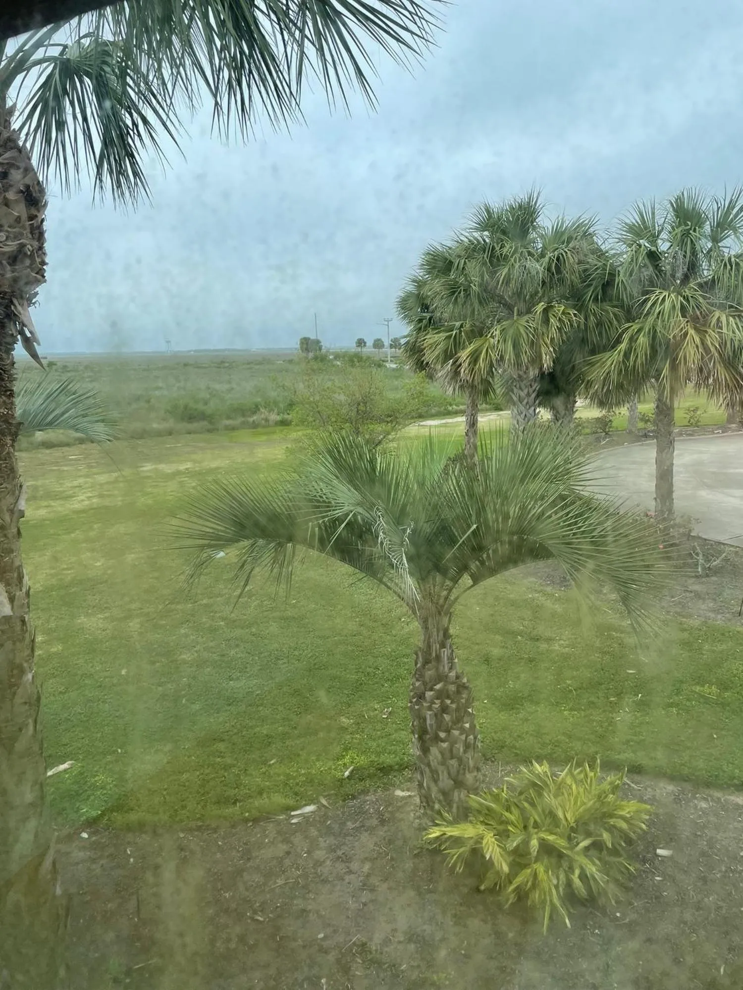 View (from property/room) in Harborwalk Lodge