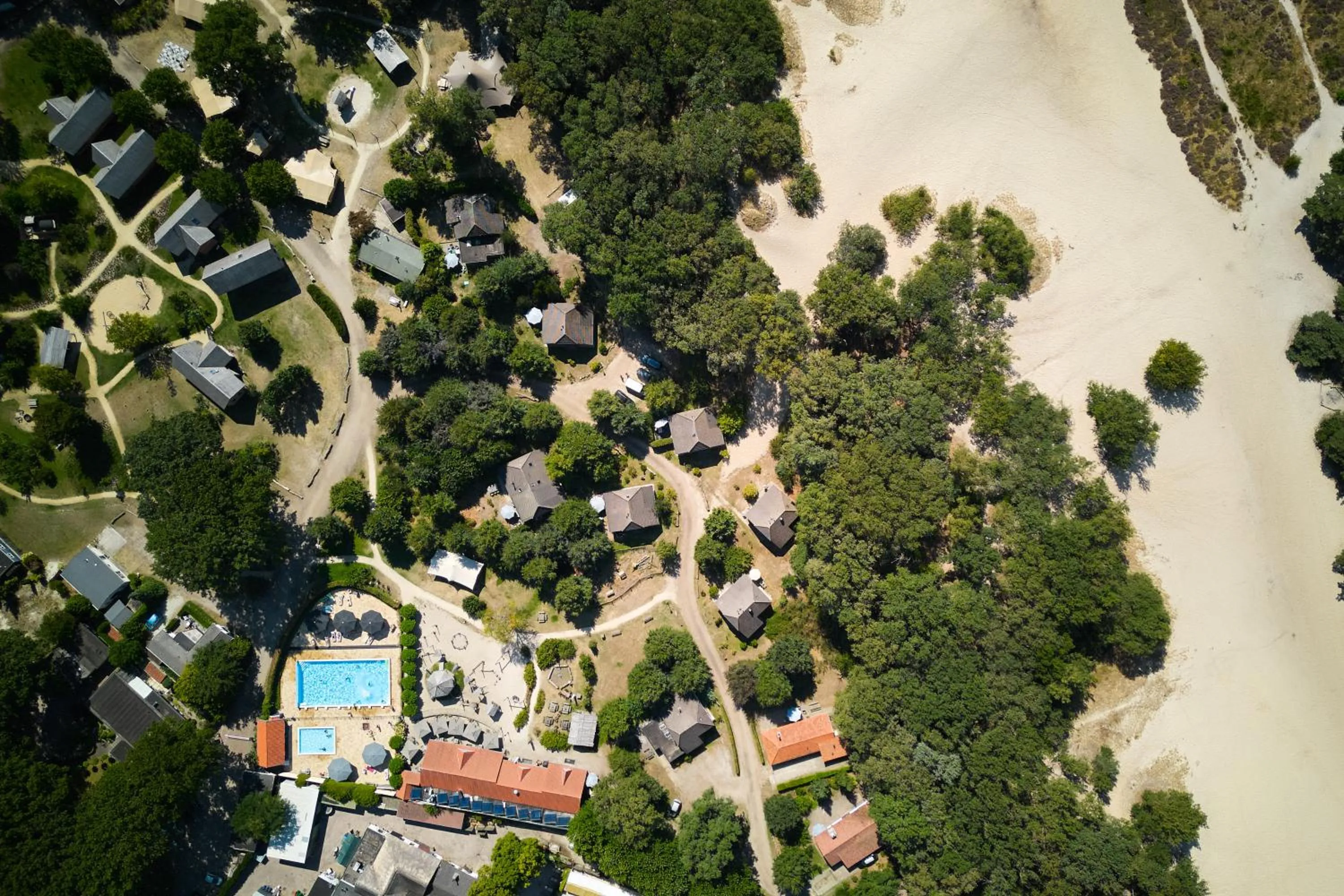 Natural landscape in Sandberghe - Een plek om te verdwalen