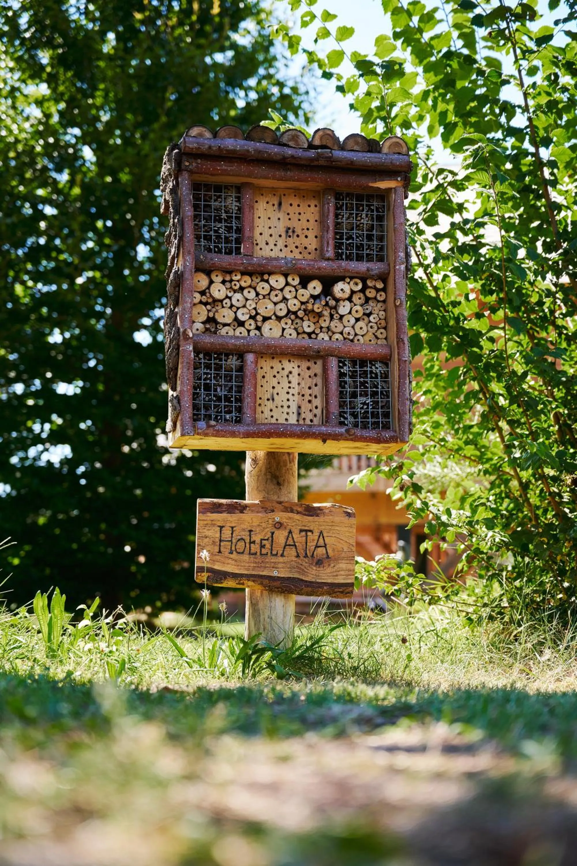 Property building in Sandberghe - Een plek om te verdwalen