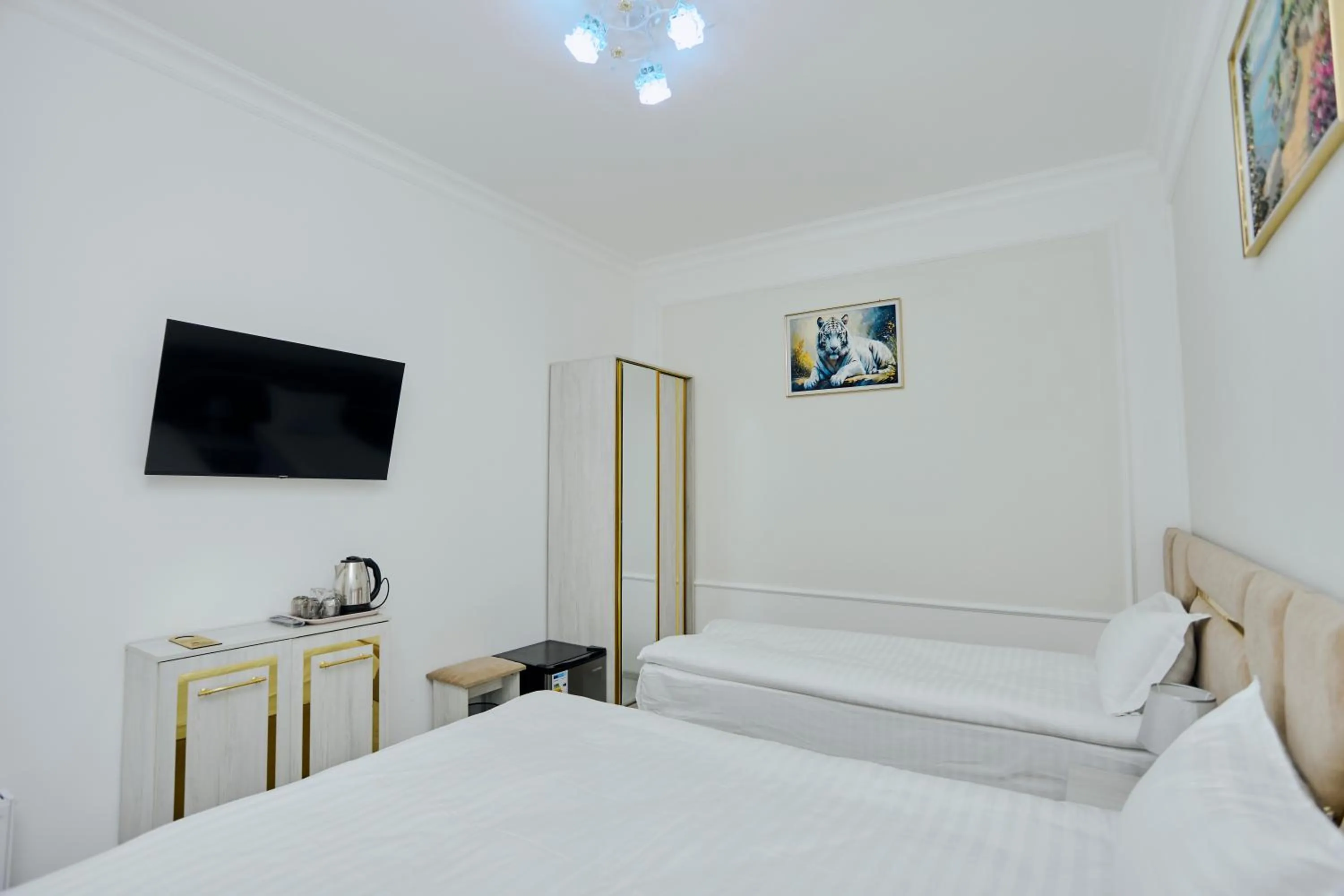 TV and multimedia in Registan Gold